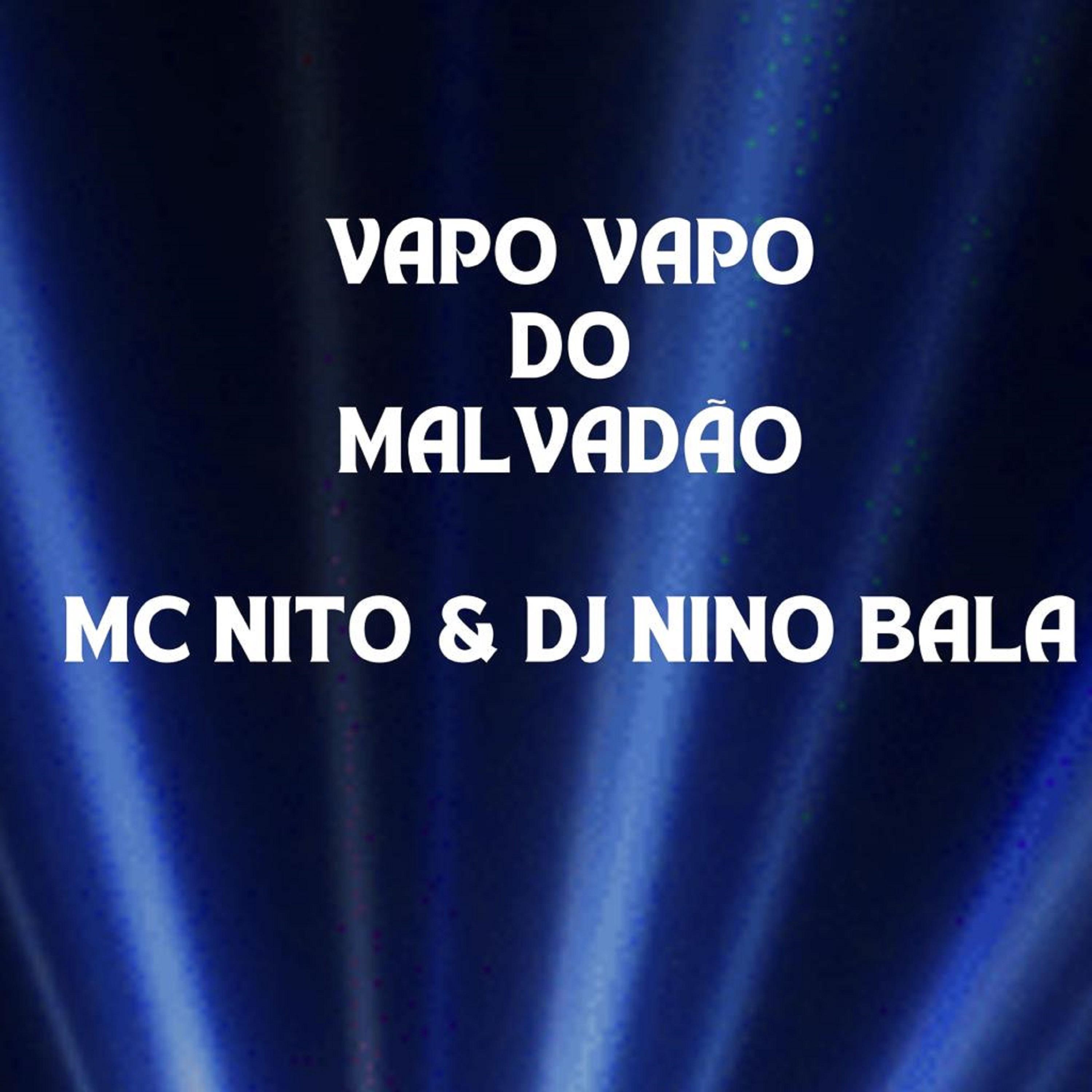 Постер альбома Vapo Vapo do Malvadão