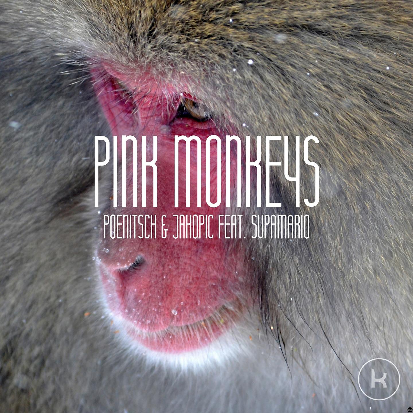 Постер альбома Pink Monkeys