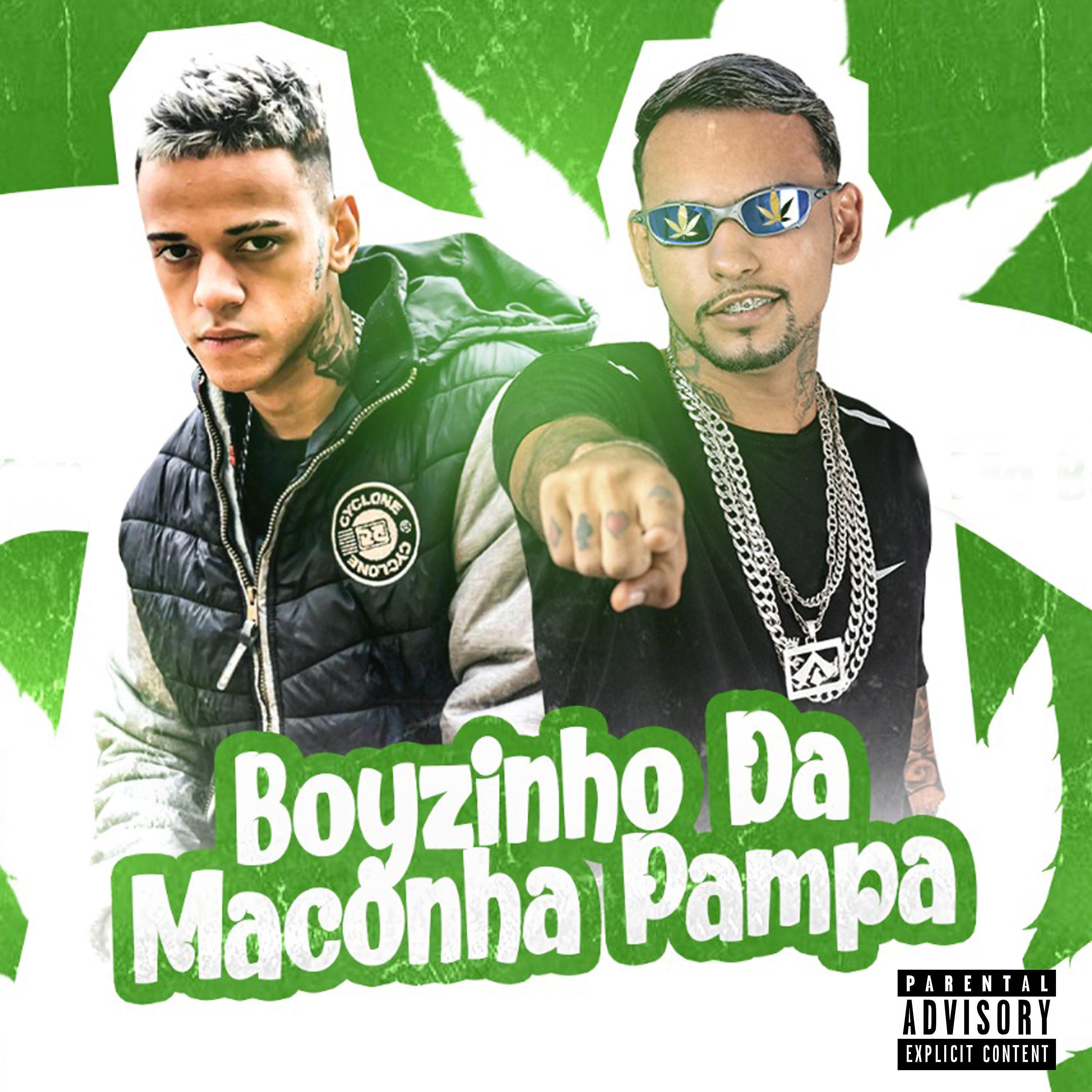 Постер альбома Boyzinho da Maconha Pampa