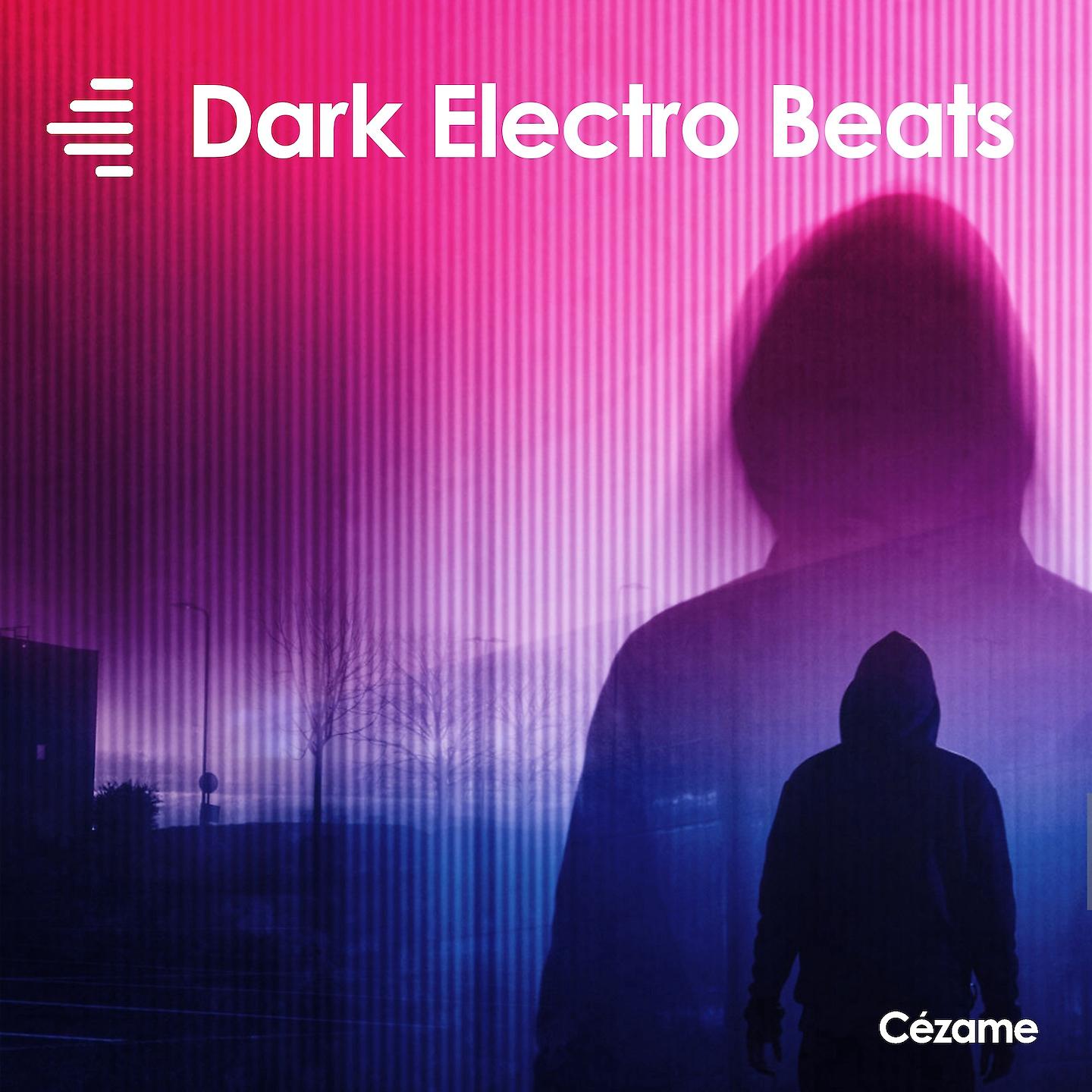 Постер альбома Dark Electro Beats