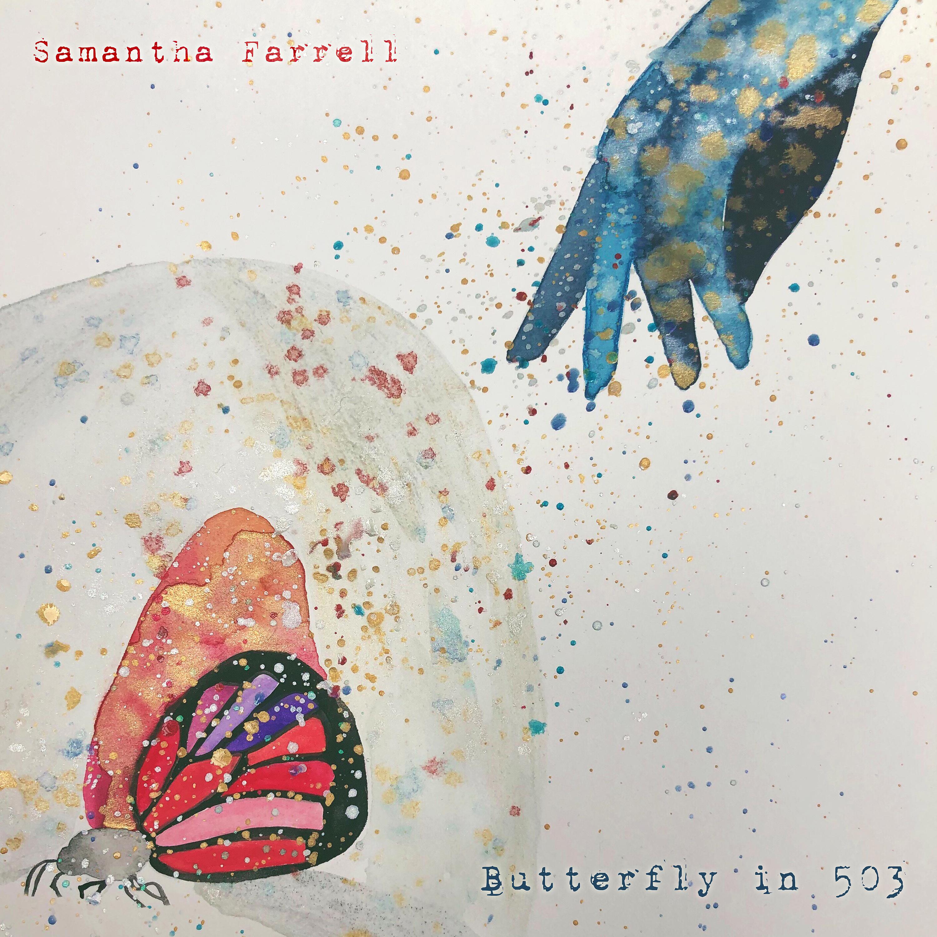 Постер альбома Butterfly in 503