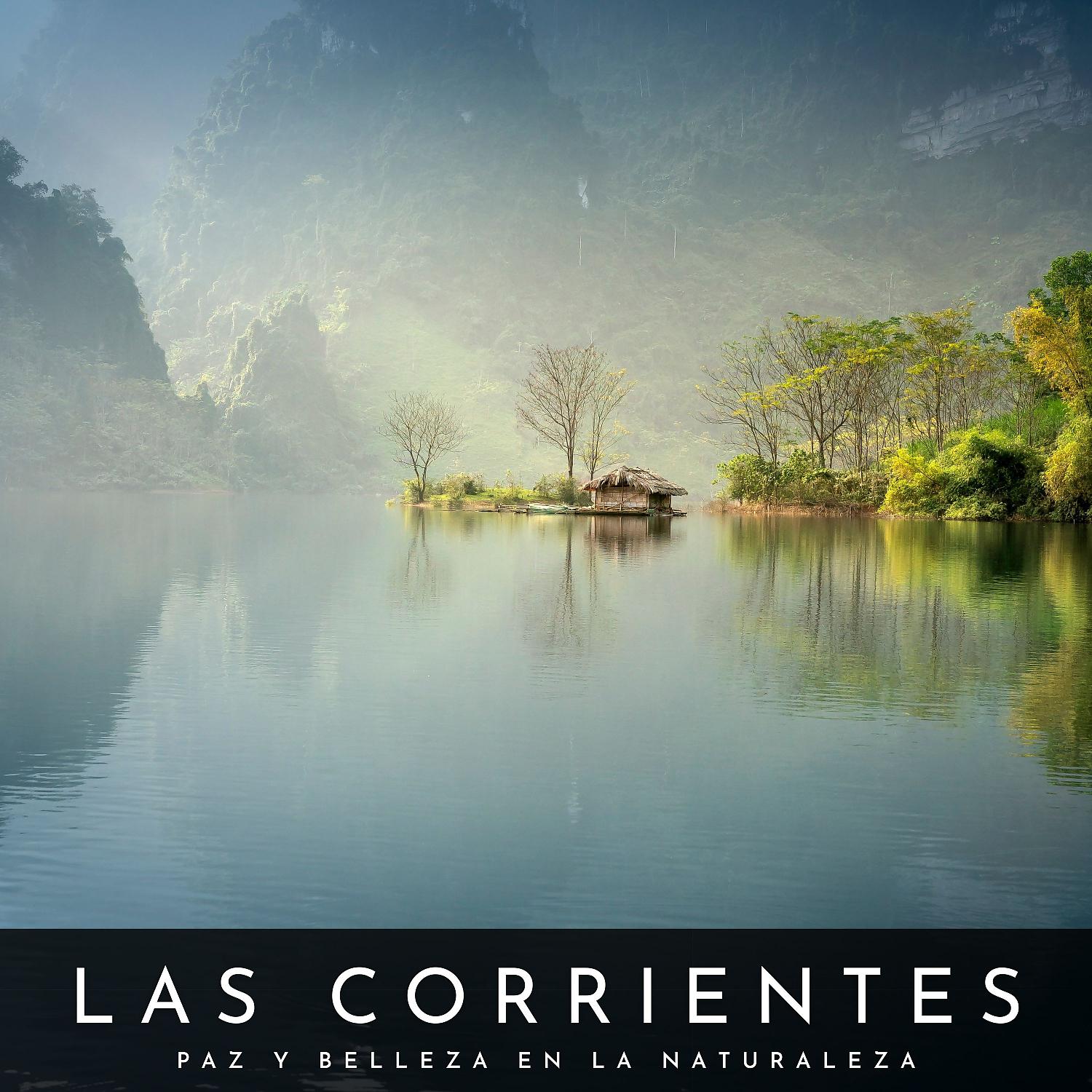 Постер альбома Las Corrientes: Paz Y Belleza En La Naturaleza