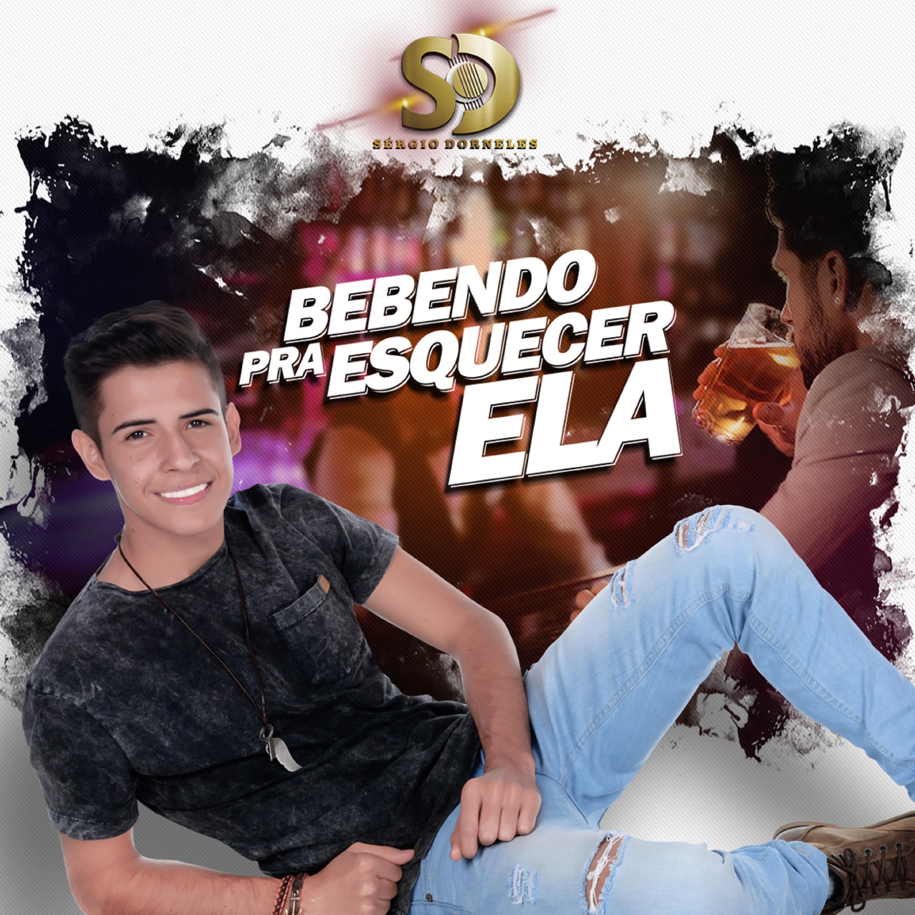 Постер альбома Bebendo pra Esquecer Ela
