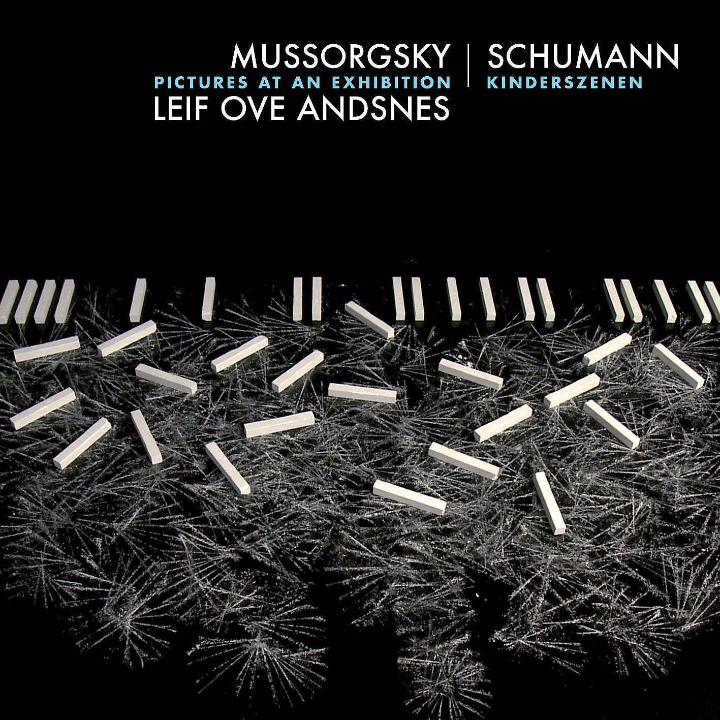 Постер альбома Mussorgsky: Pictures Reframed