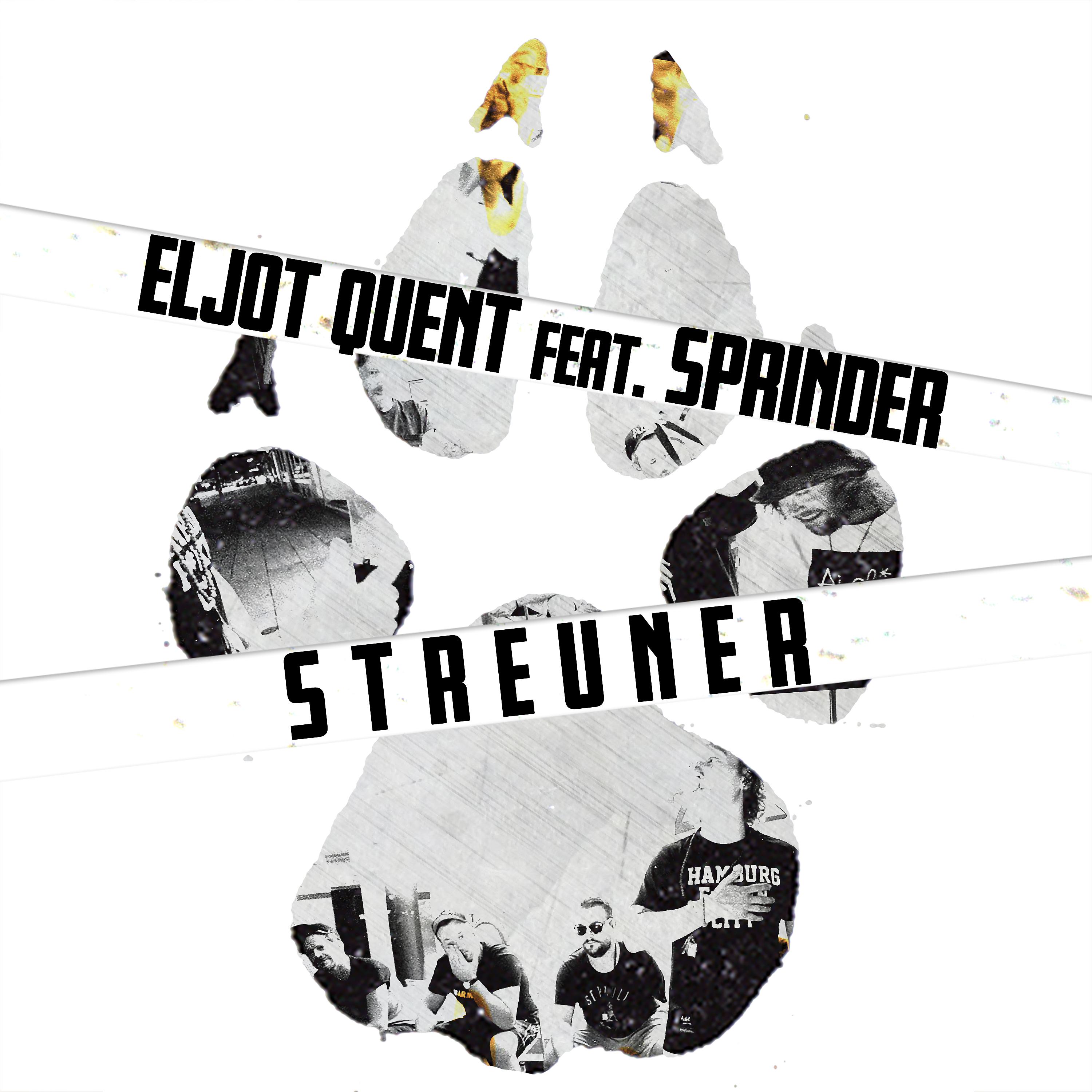 Постер альбома Streuner (feat. Sprinder)