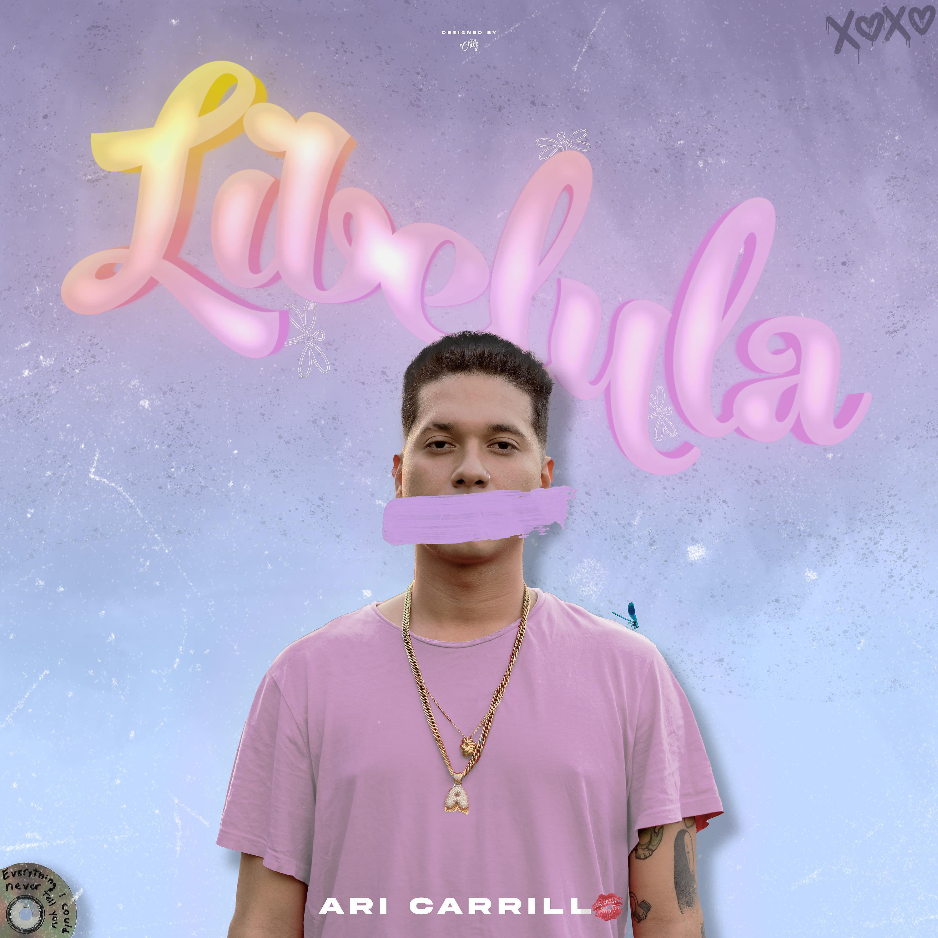 Постер альбома Libélula