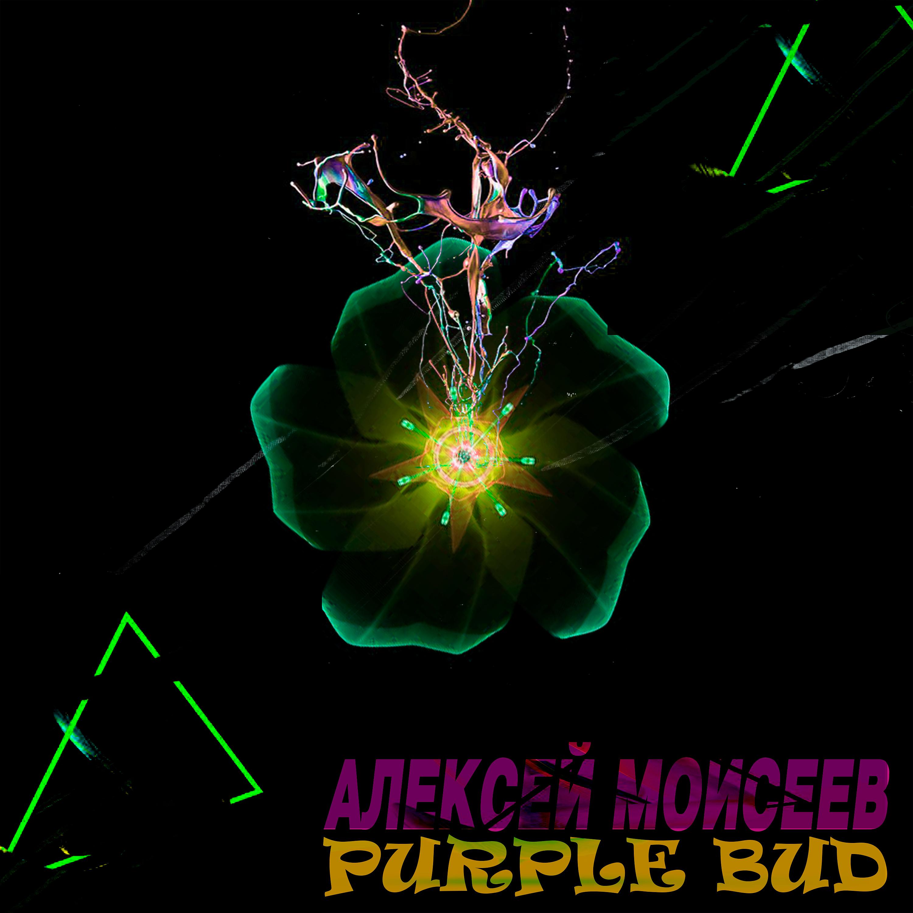 Постер альбома Purple Bud