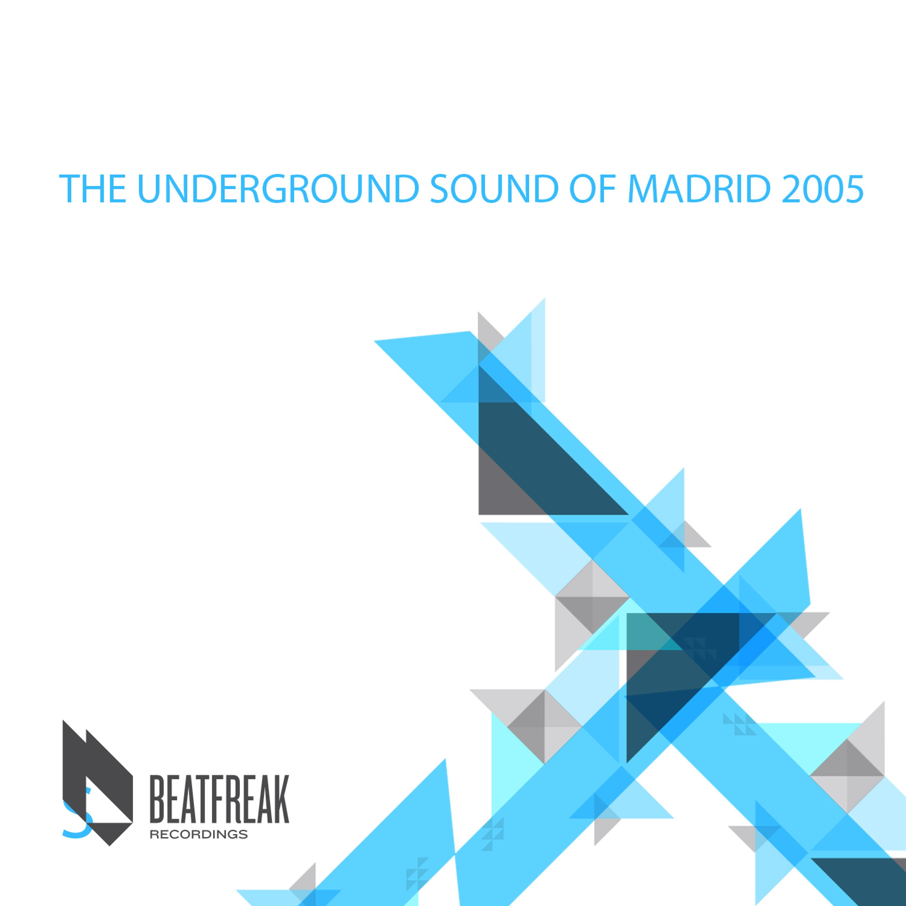 Постер альбома The Undeground Sound of Madrid 2005