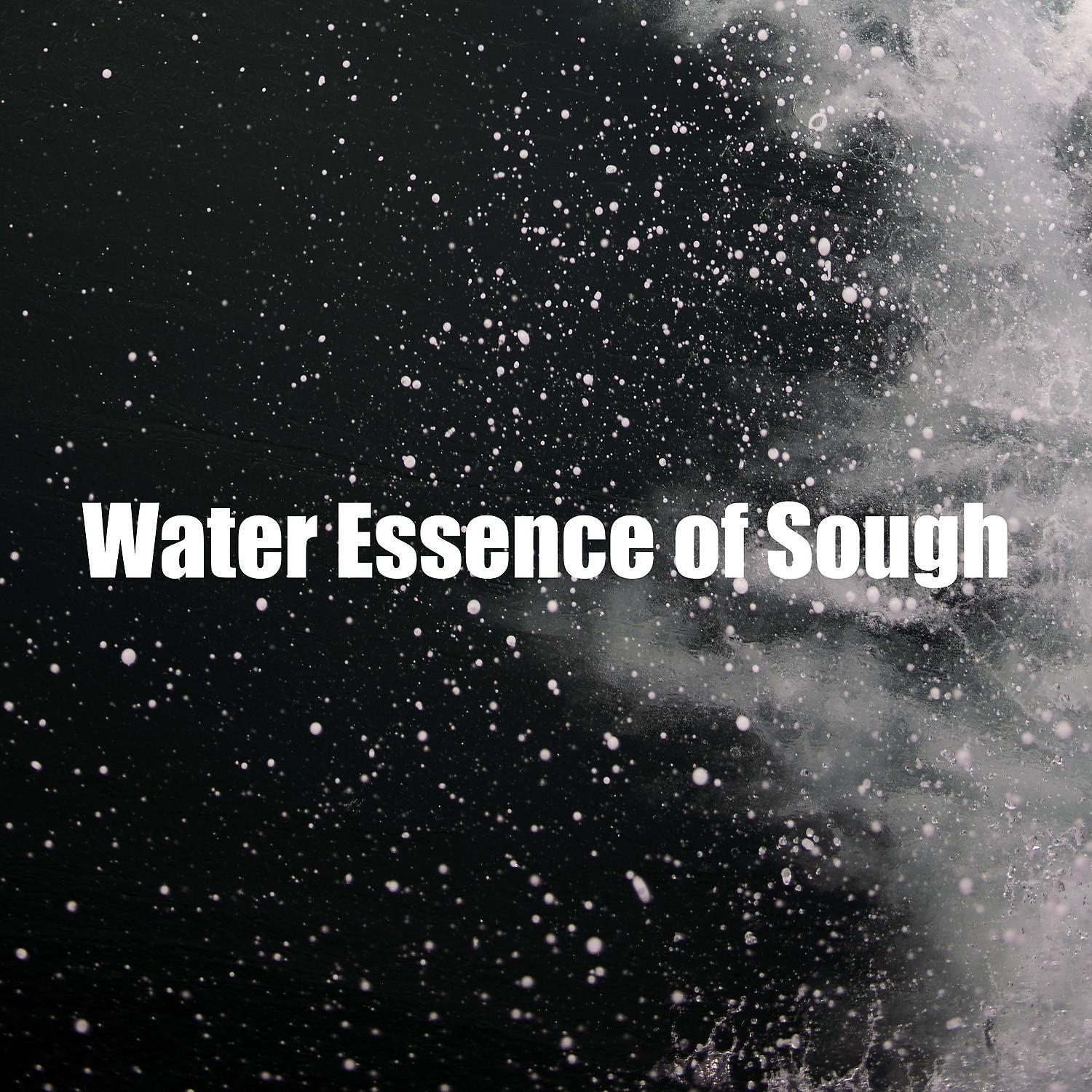 Постер альбома Water Essence of Sough
