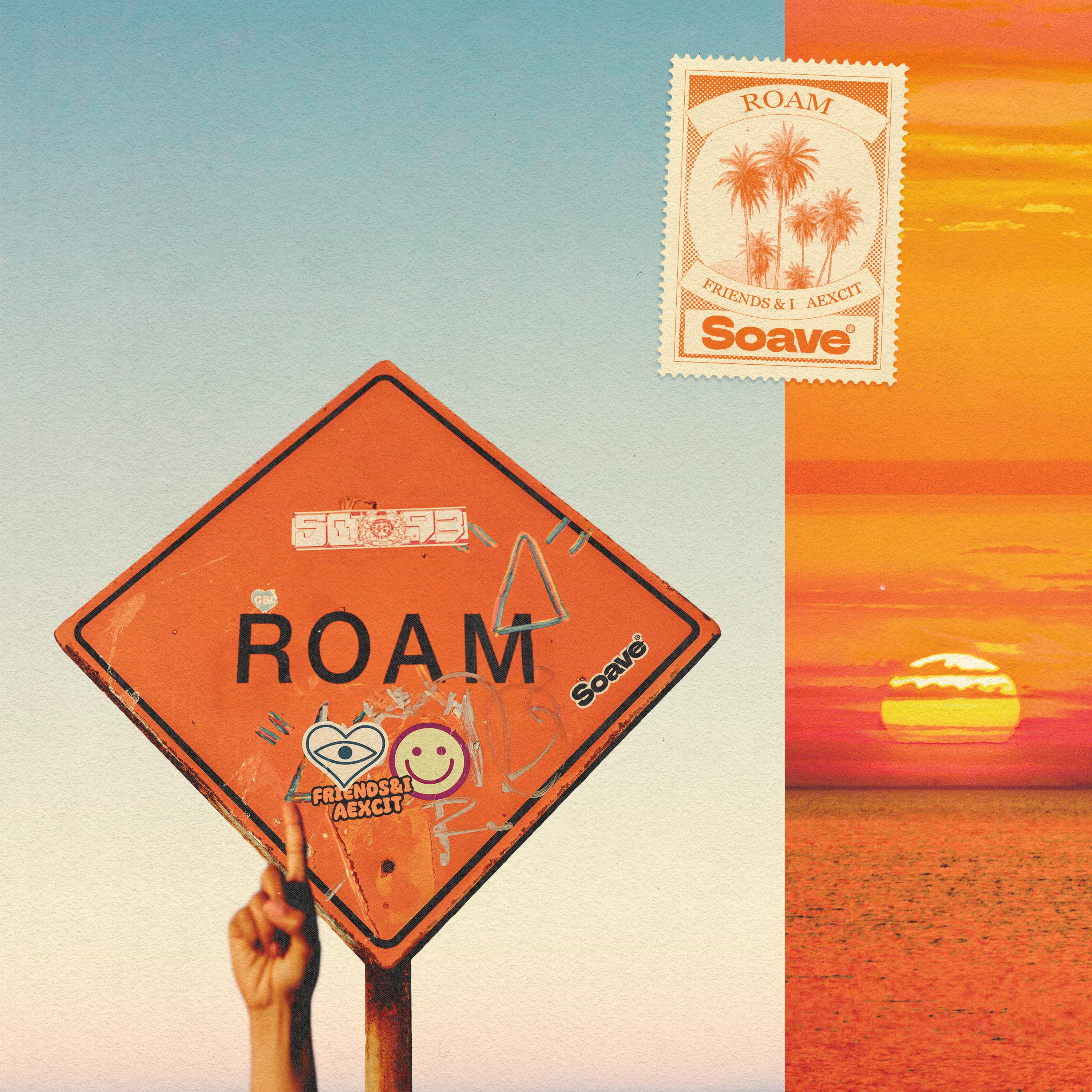 Постер альбома Roam
