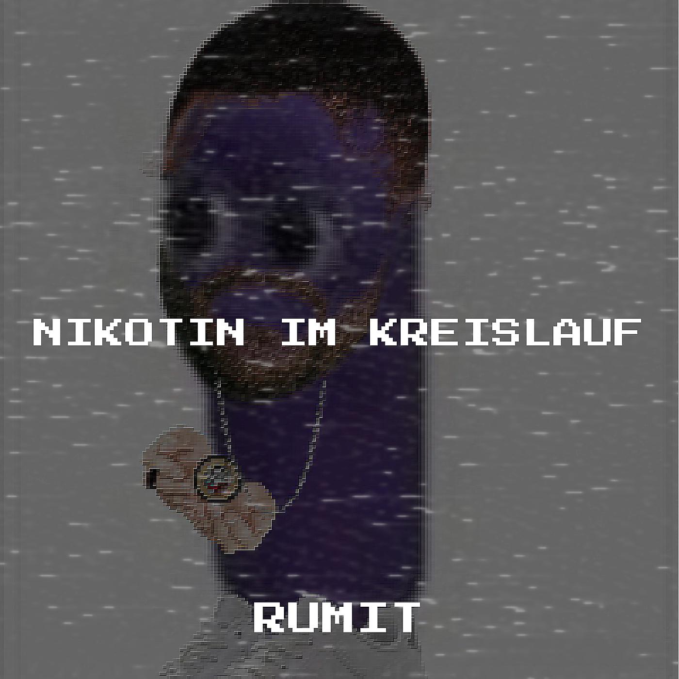 Постер альбома Nikotin Im Kreislauf