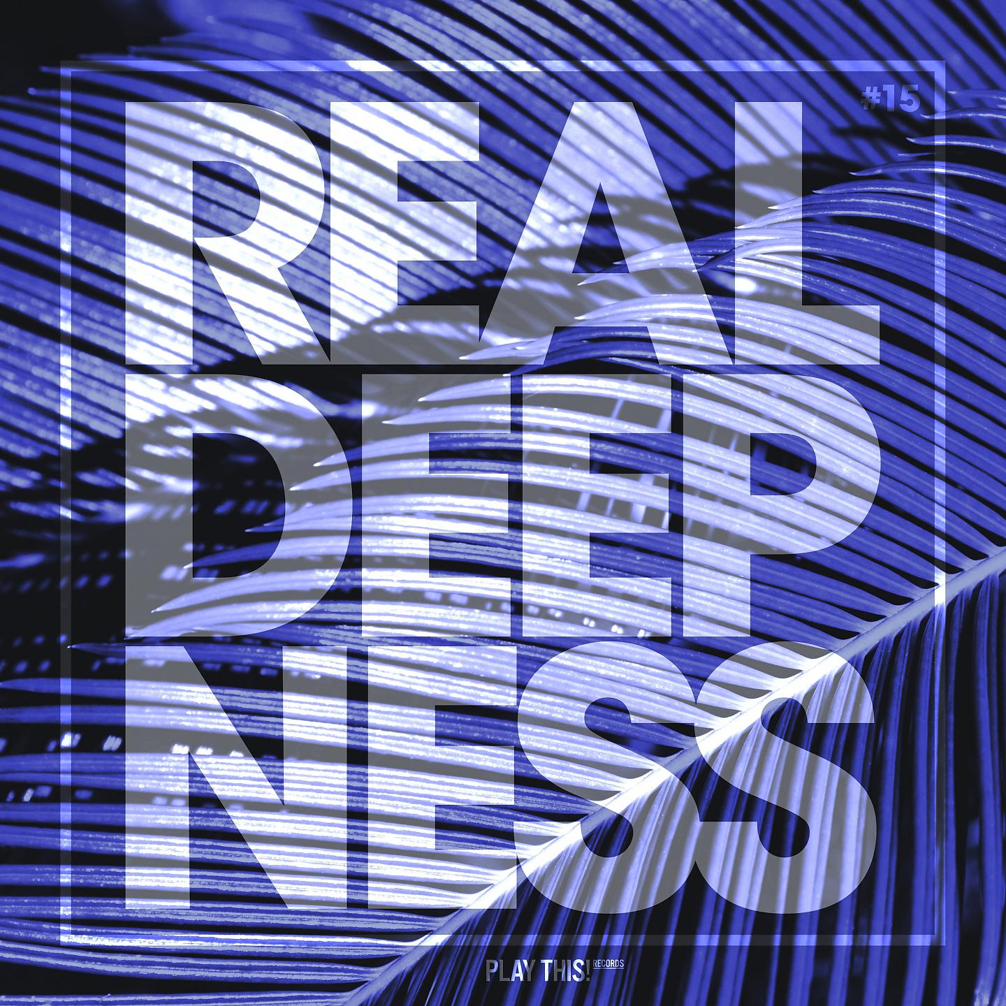 Постер альбома Real Deepness #15