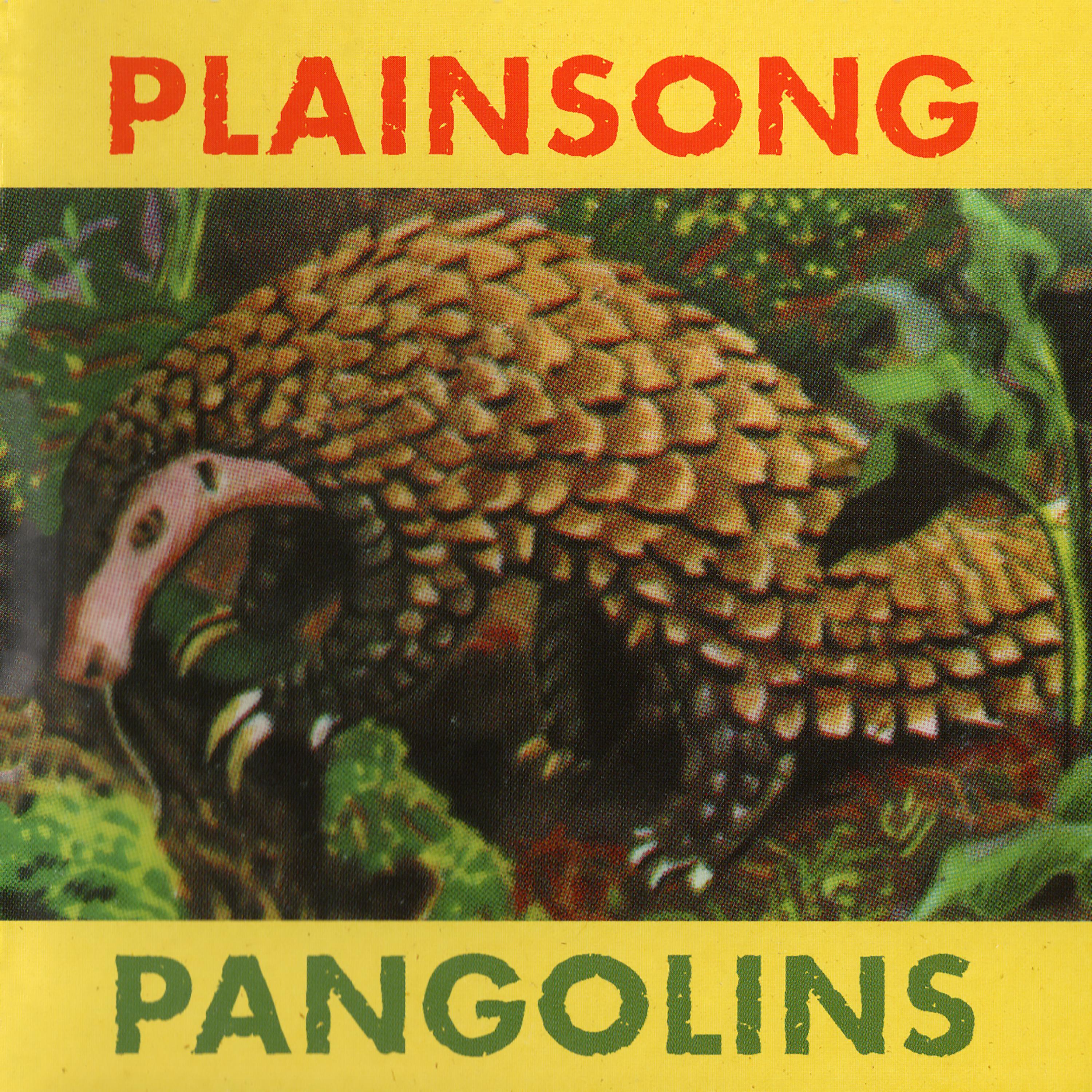 Постер альбома Pangolins