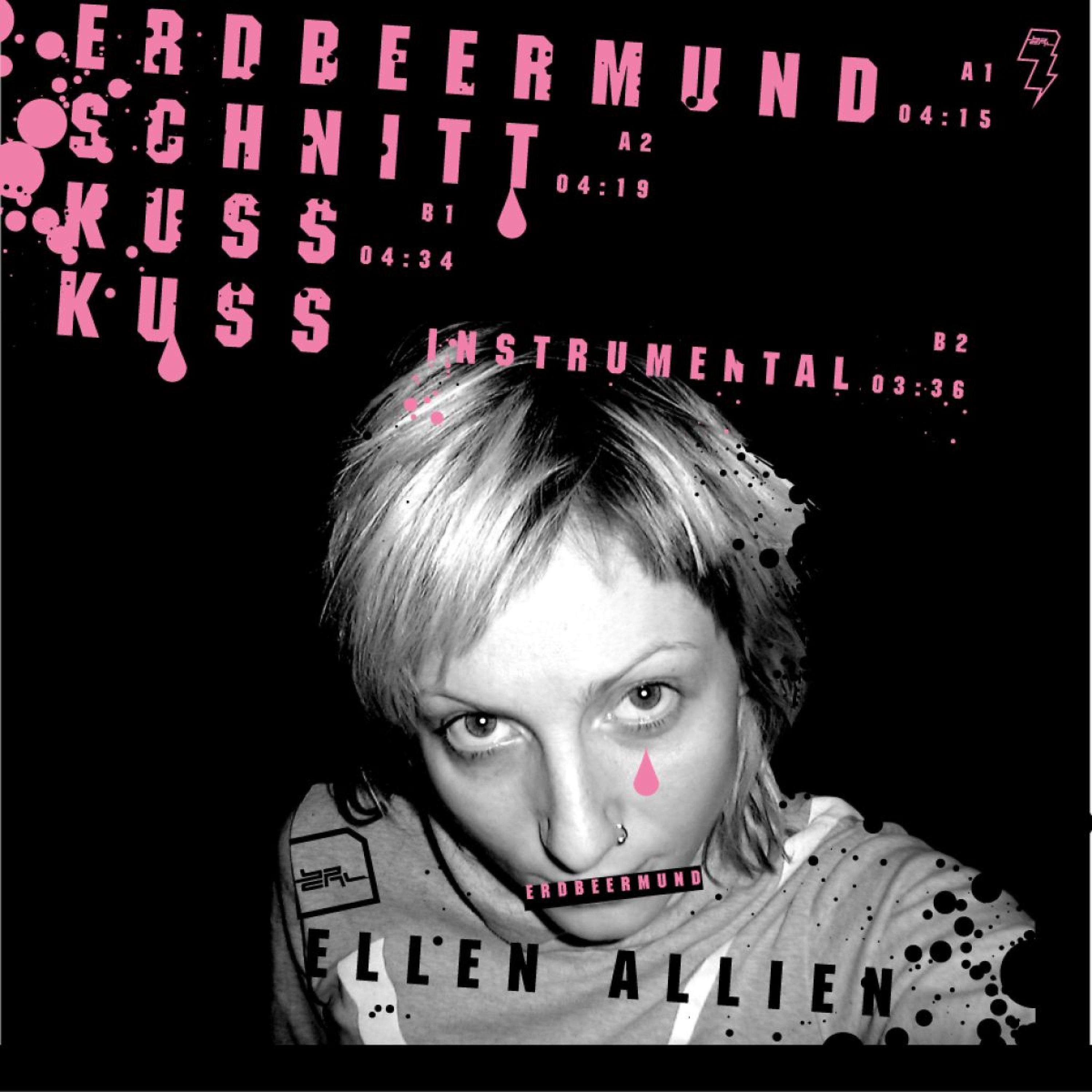 Постер альбома Erdbeermund