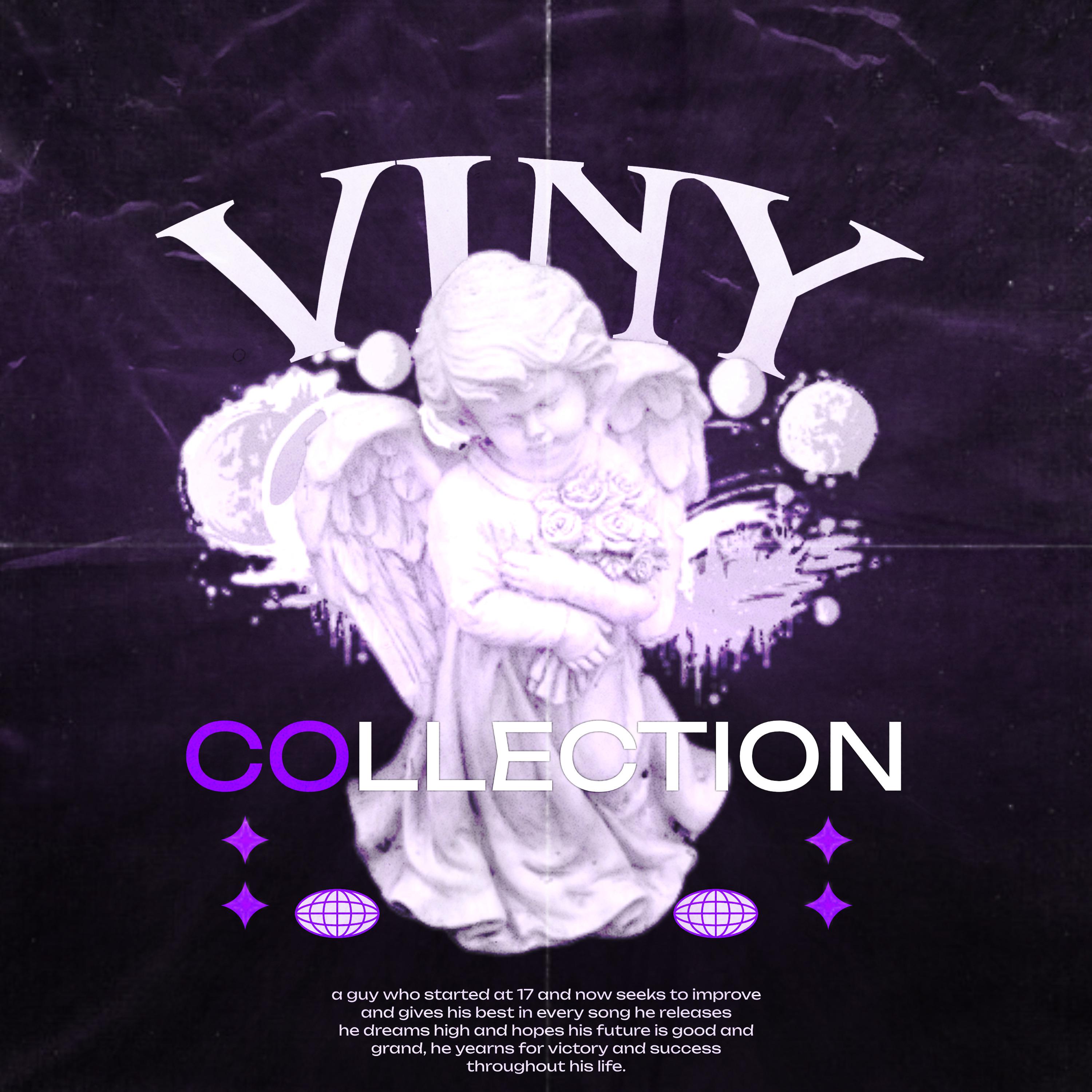 Постер альбома Viny Collection