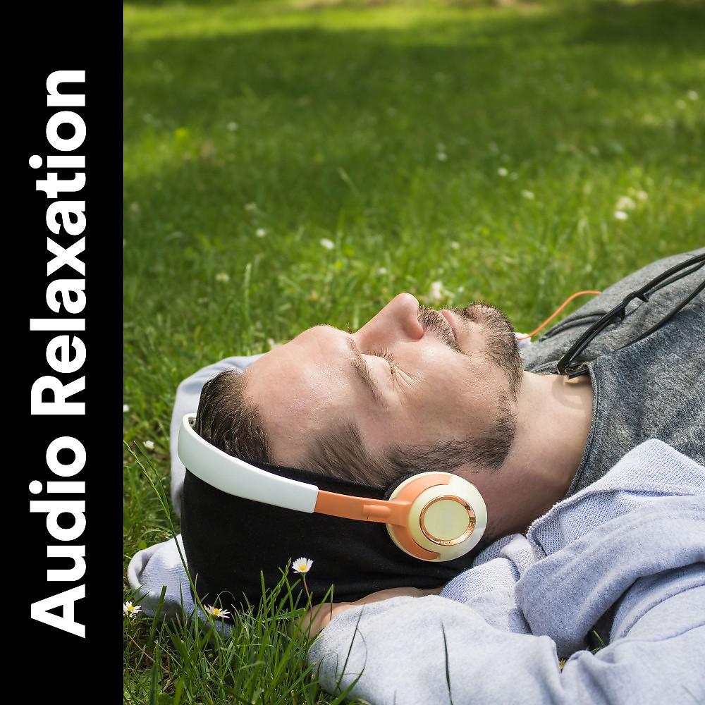 Постер альбома Audio Relaxation