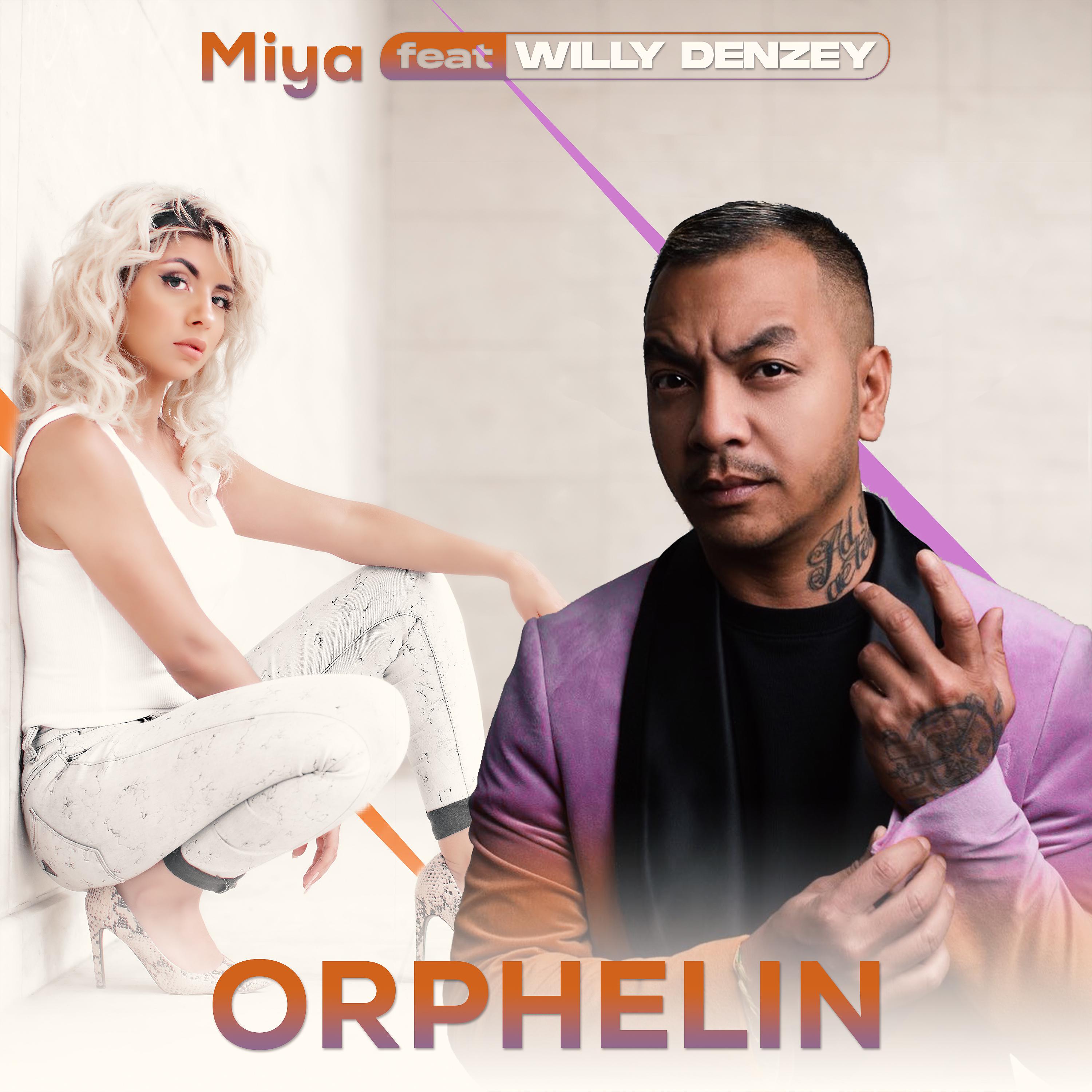 Постер альбома Orphelin feat. Willy Denzey