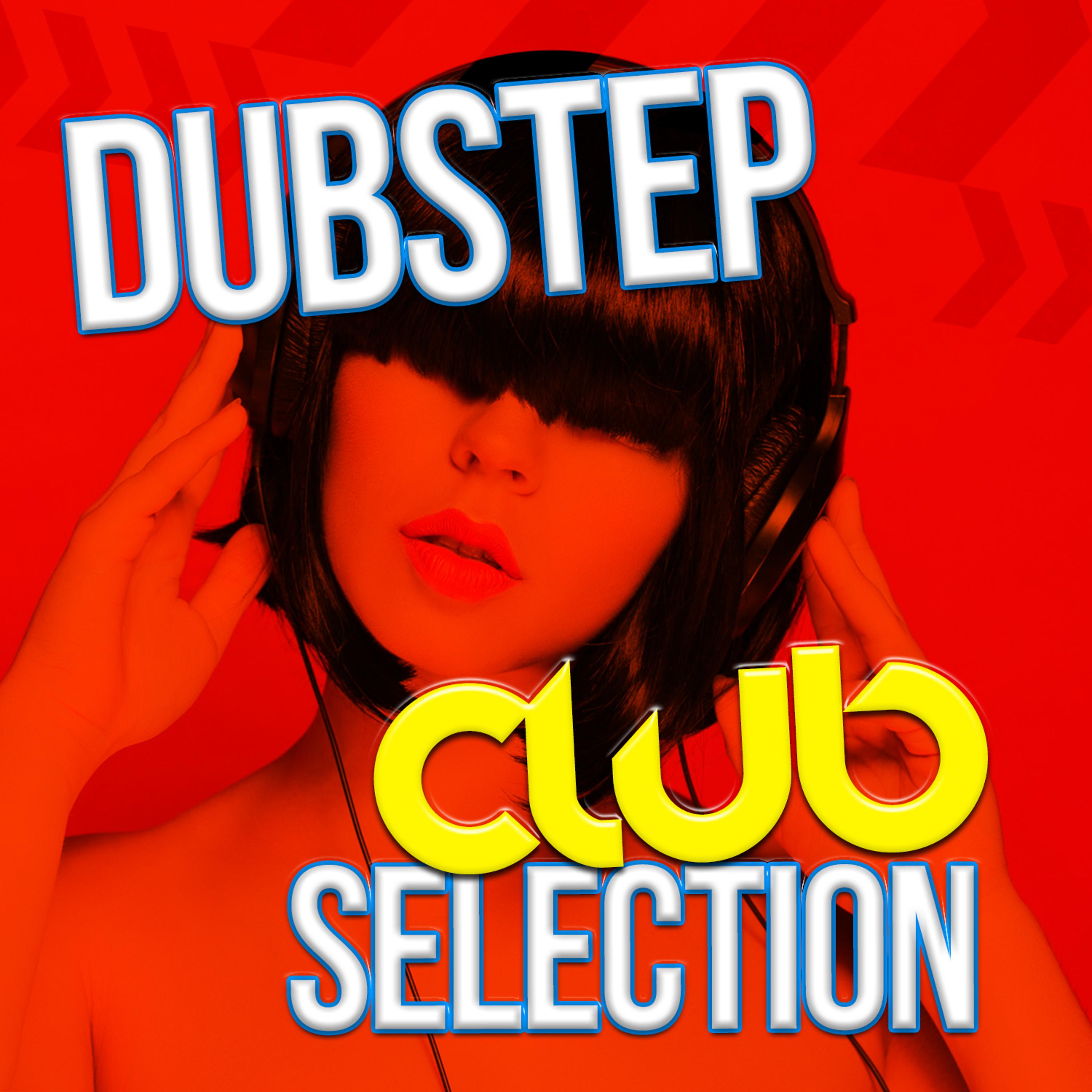 Постер альбома Dubstep Club Selection