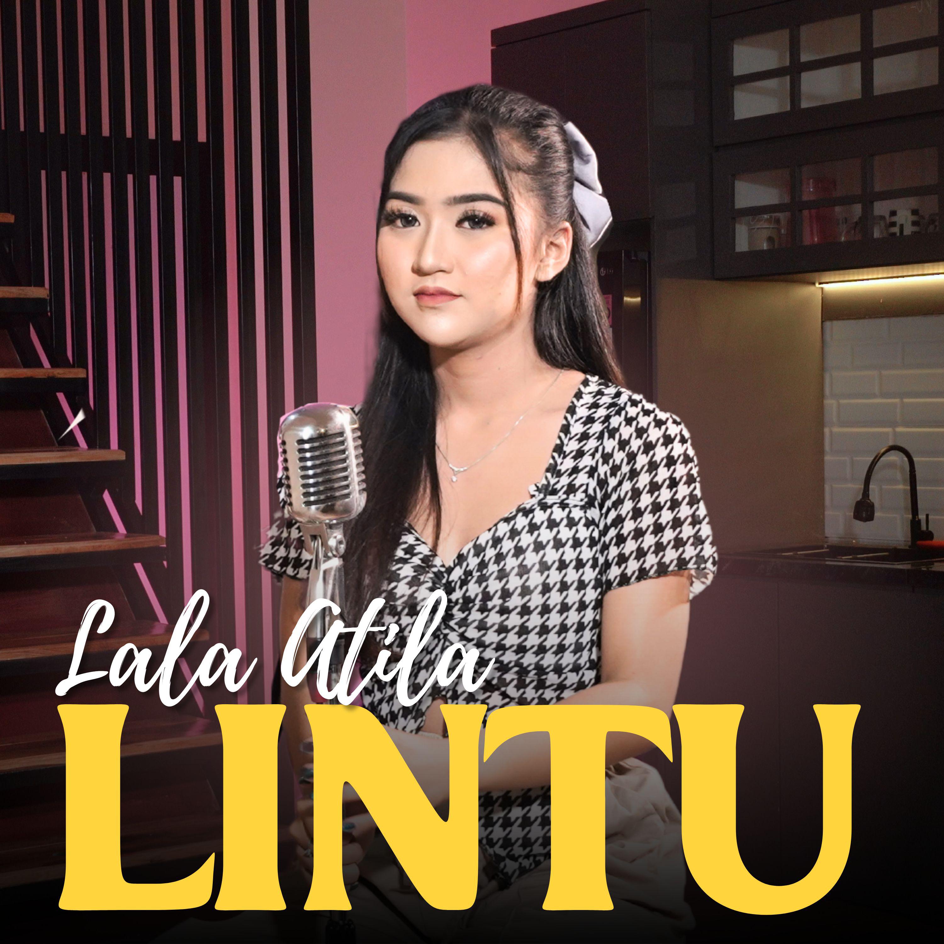 Постер альбома Lintu