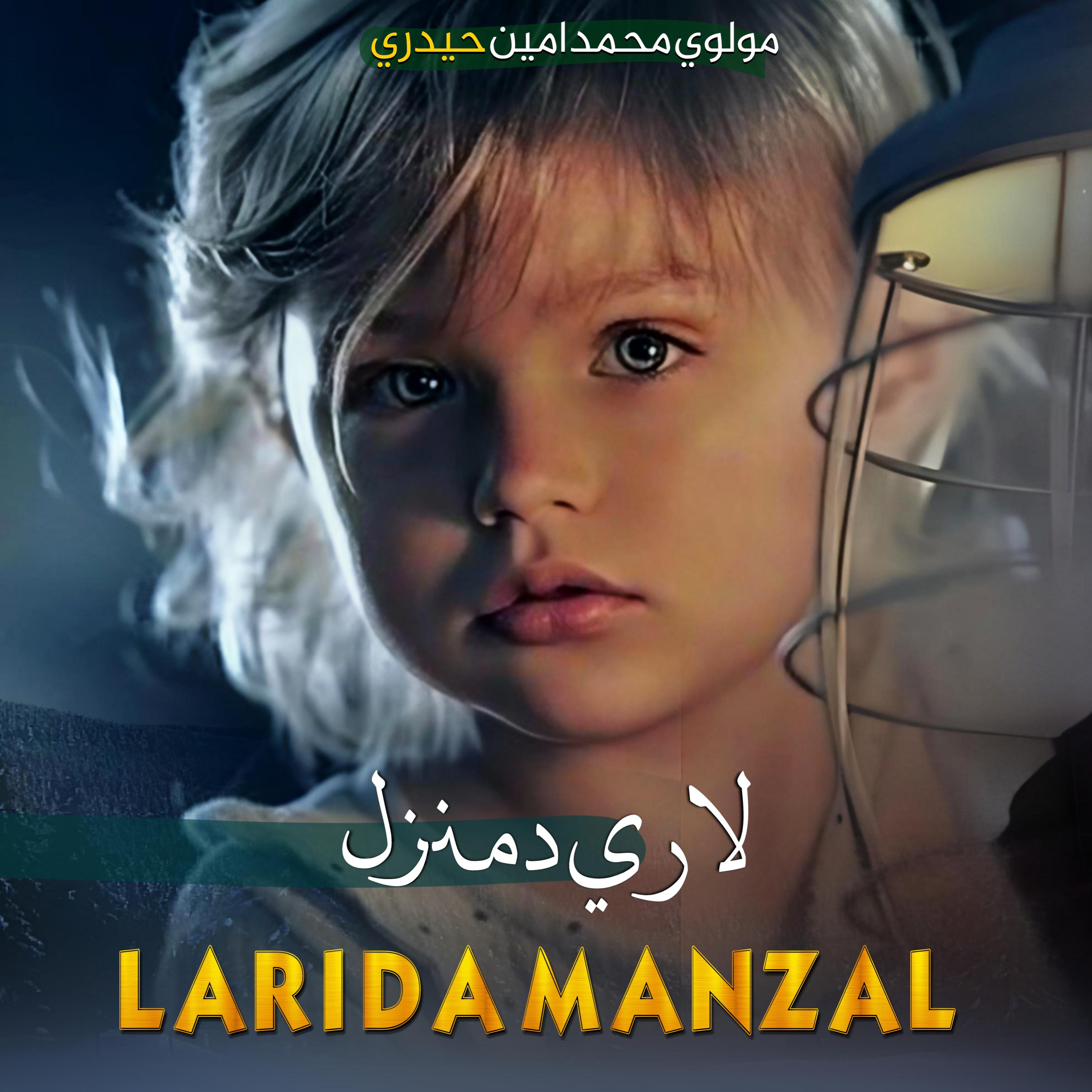 Постер альбома Lari Da Manzal