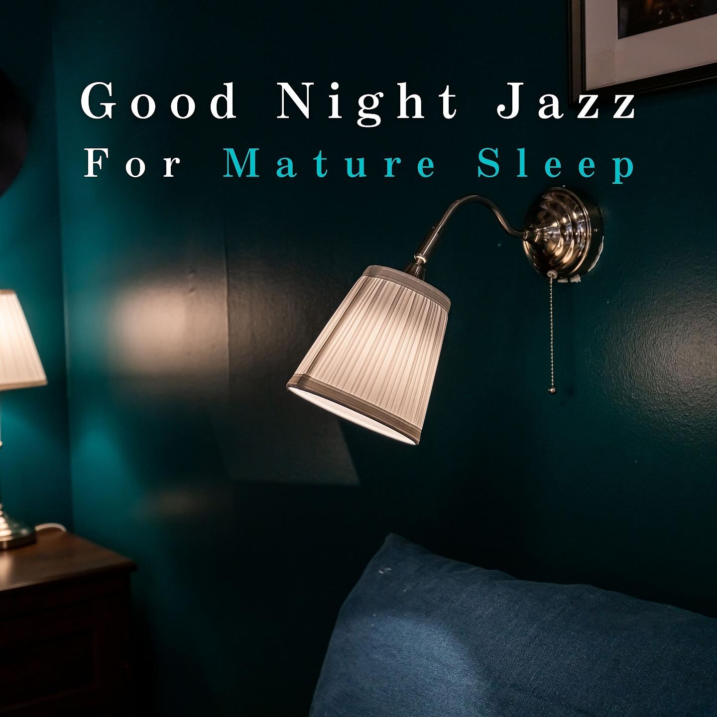 Постер альбома Good Night Jazz ~For Mature Sleep