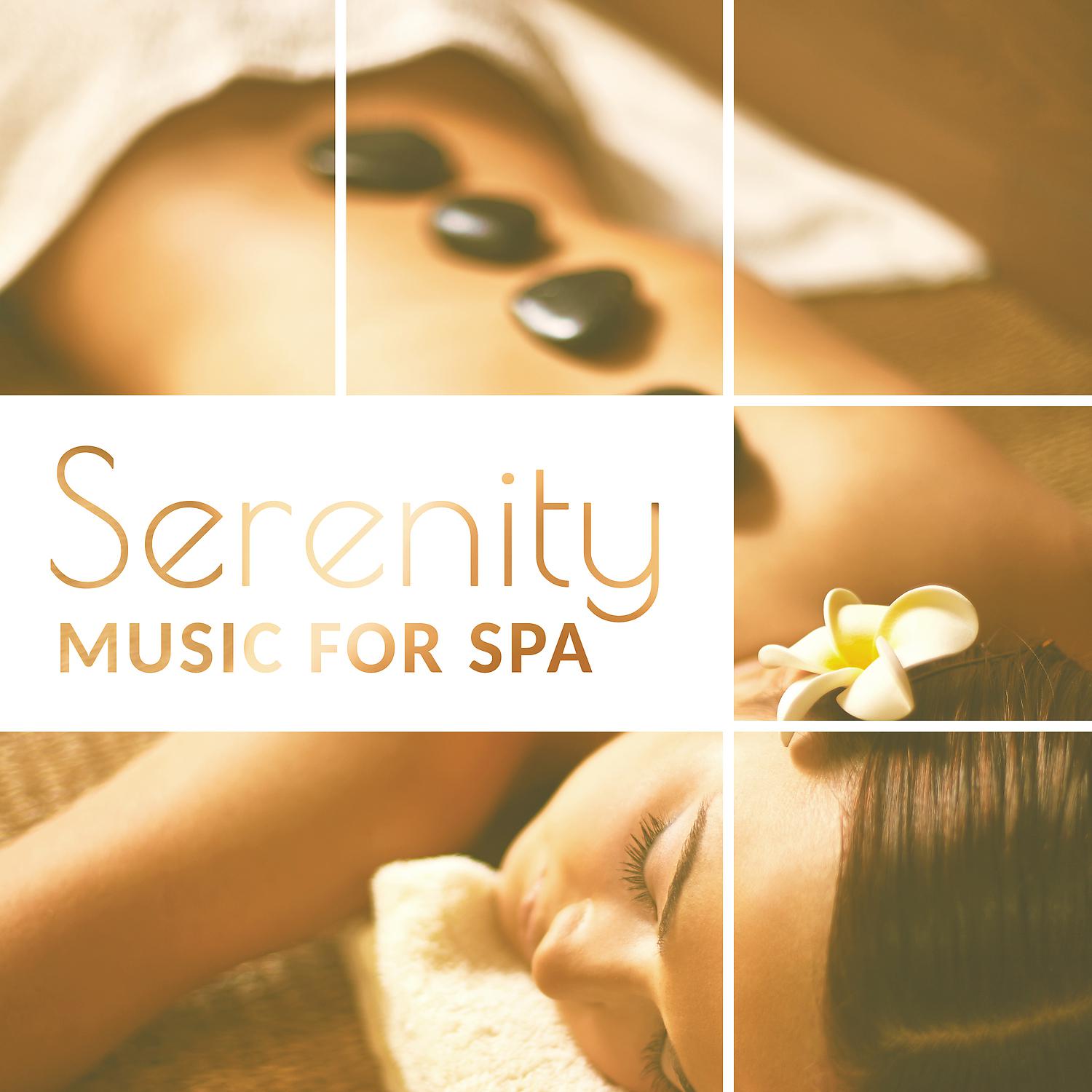 Постер альбома Serenity Music for Spa – Ambient Spa, Nature Music for Spa, Healing Touch