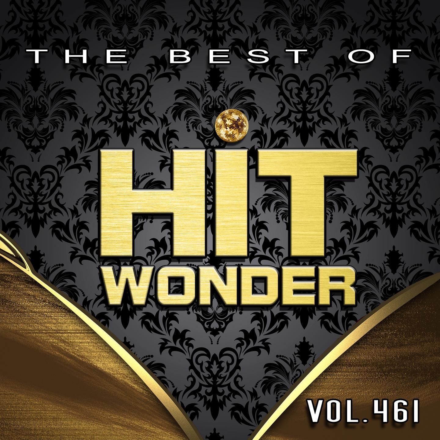 Постер альбома Hit Wonder: The Best Of, Vol. 461