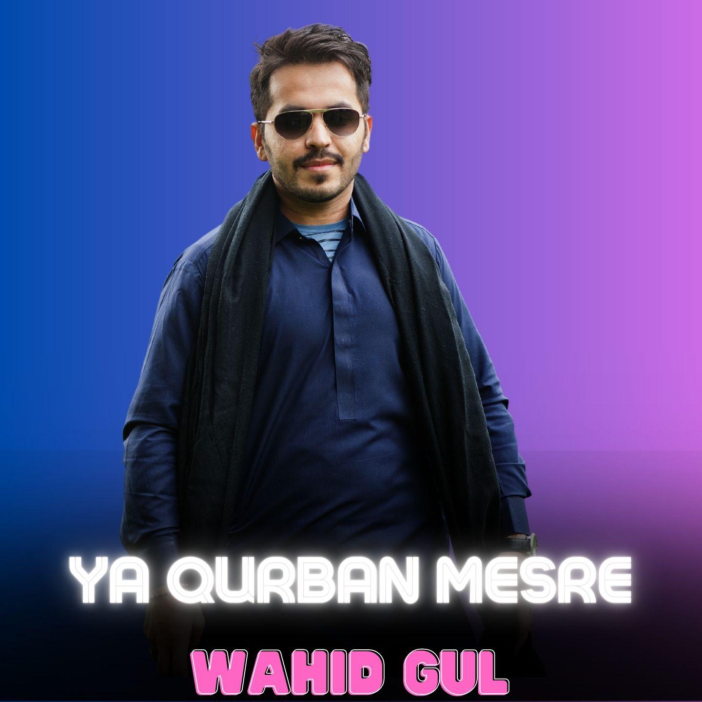 Постер альбома Ya Qurban Mesre