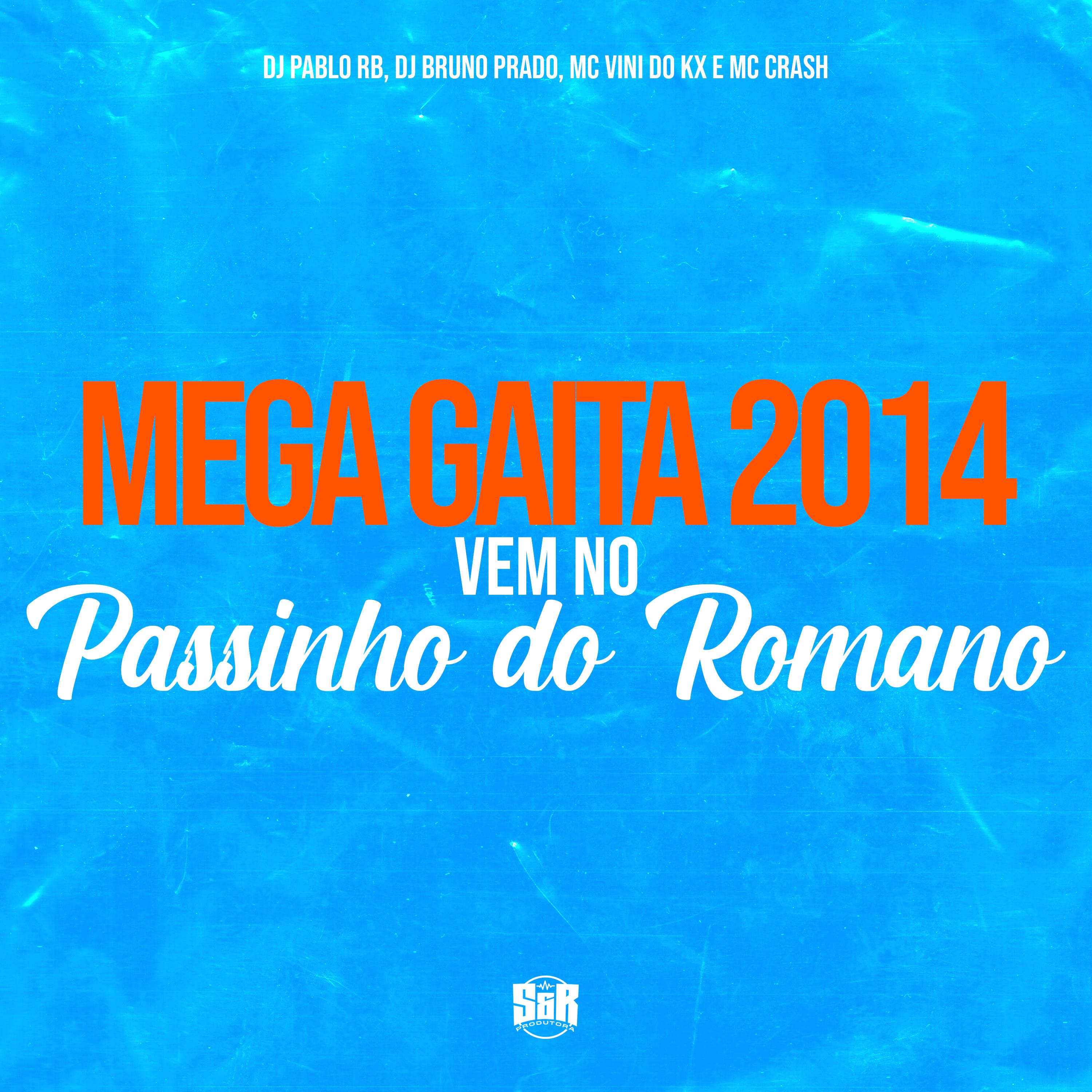 Постер альбома Mega Gaita 2014 - Vem no Passinho do Romano