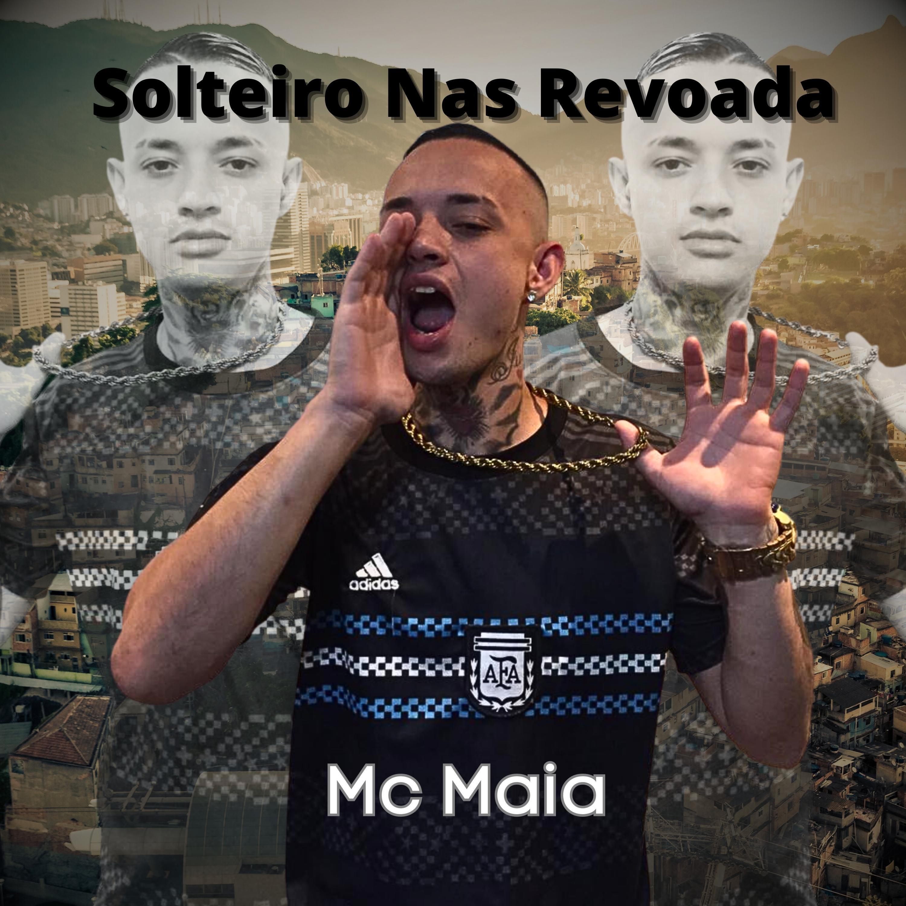 Постер альбома Solteiro nas Revoada