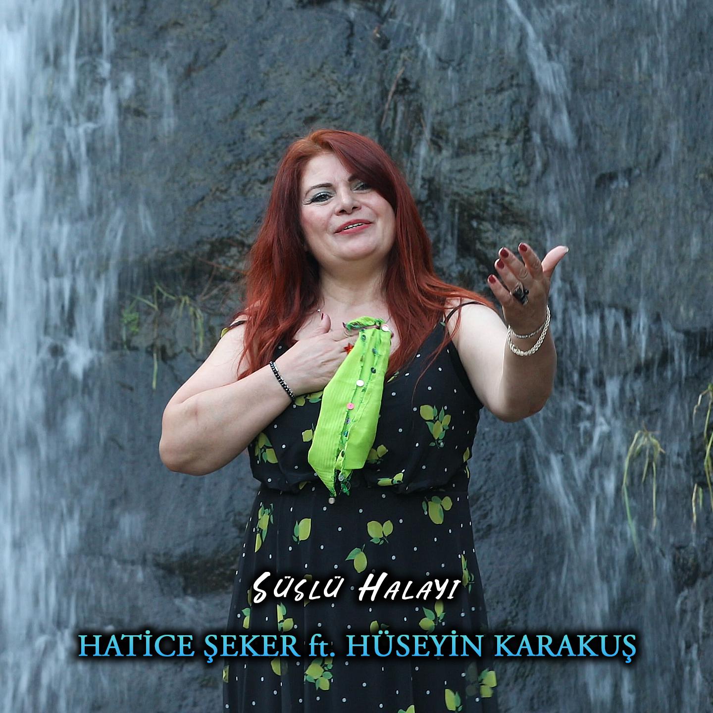 Постер альбома Süslü Halayı
