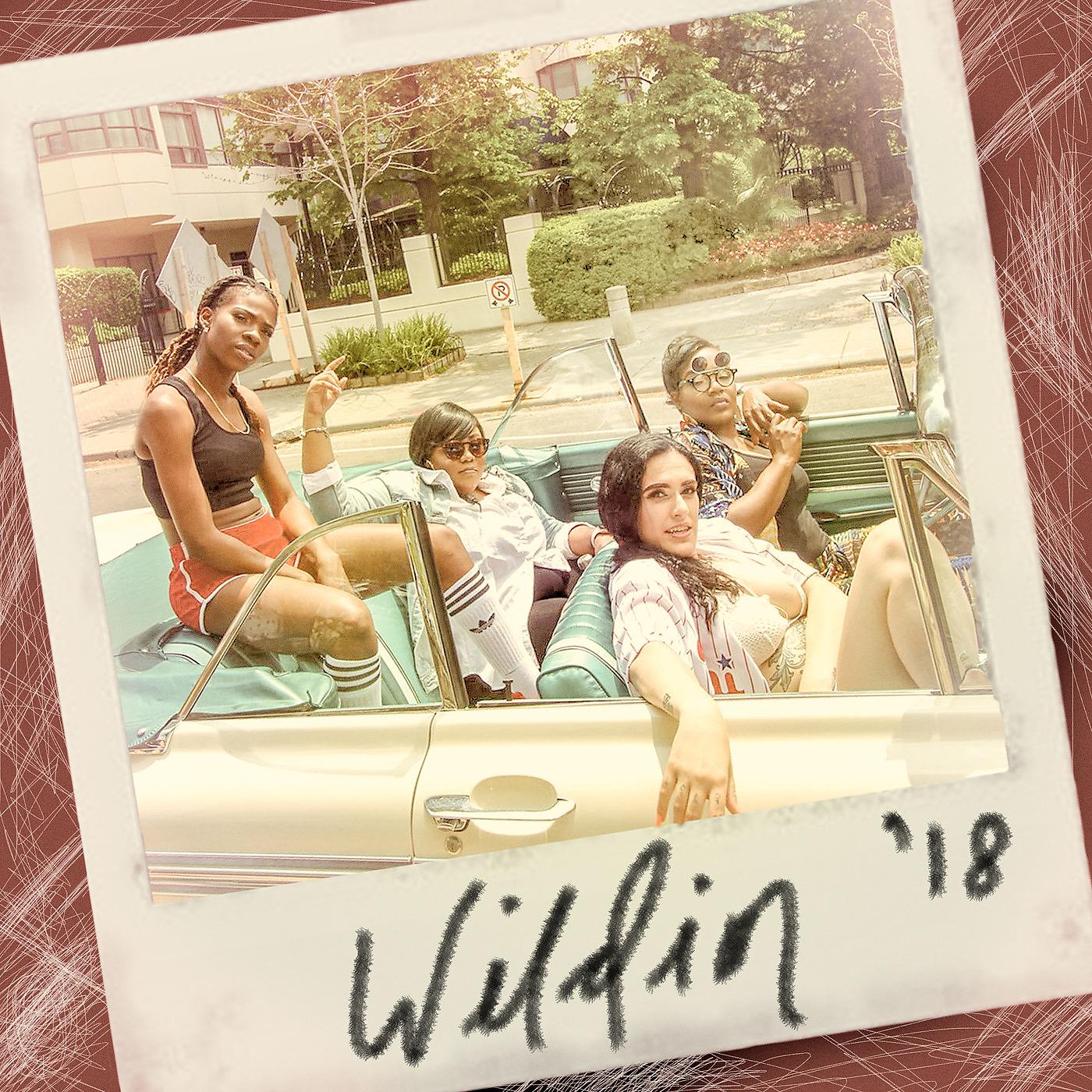 Постер альбома Wildin'
