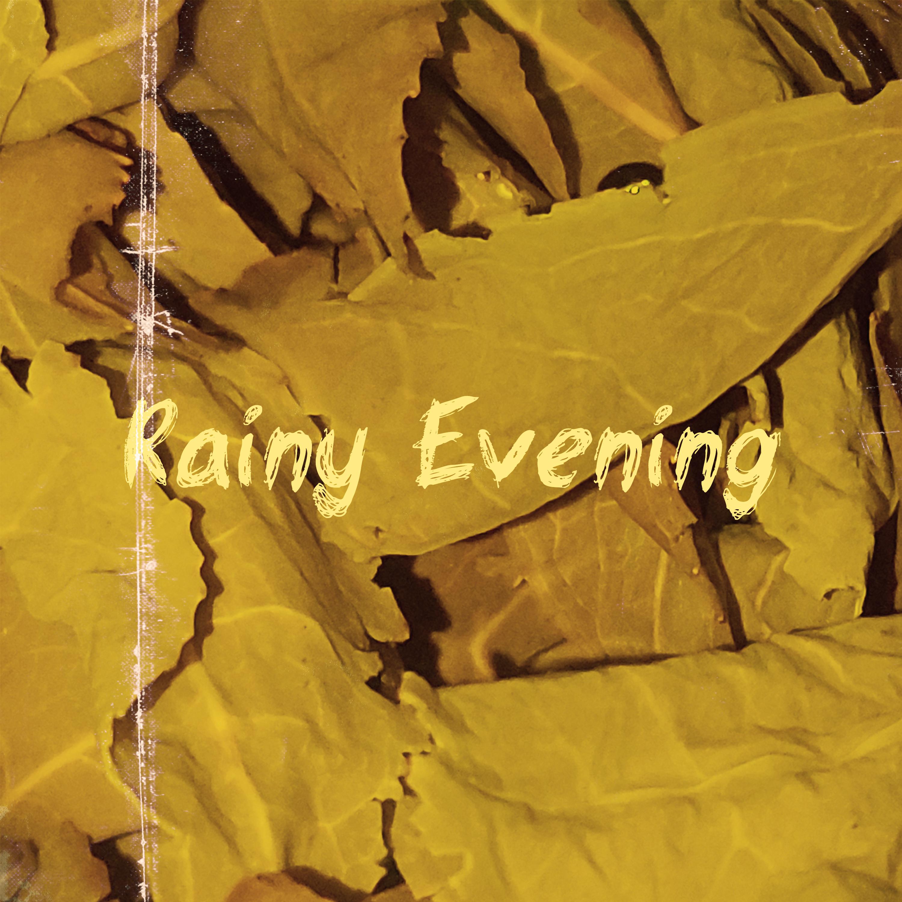 Постер альбома Rainy Evening