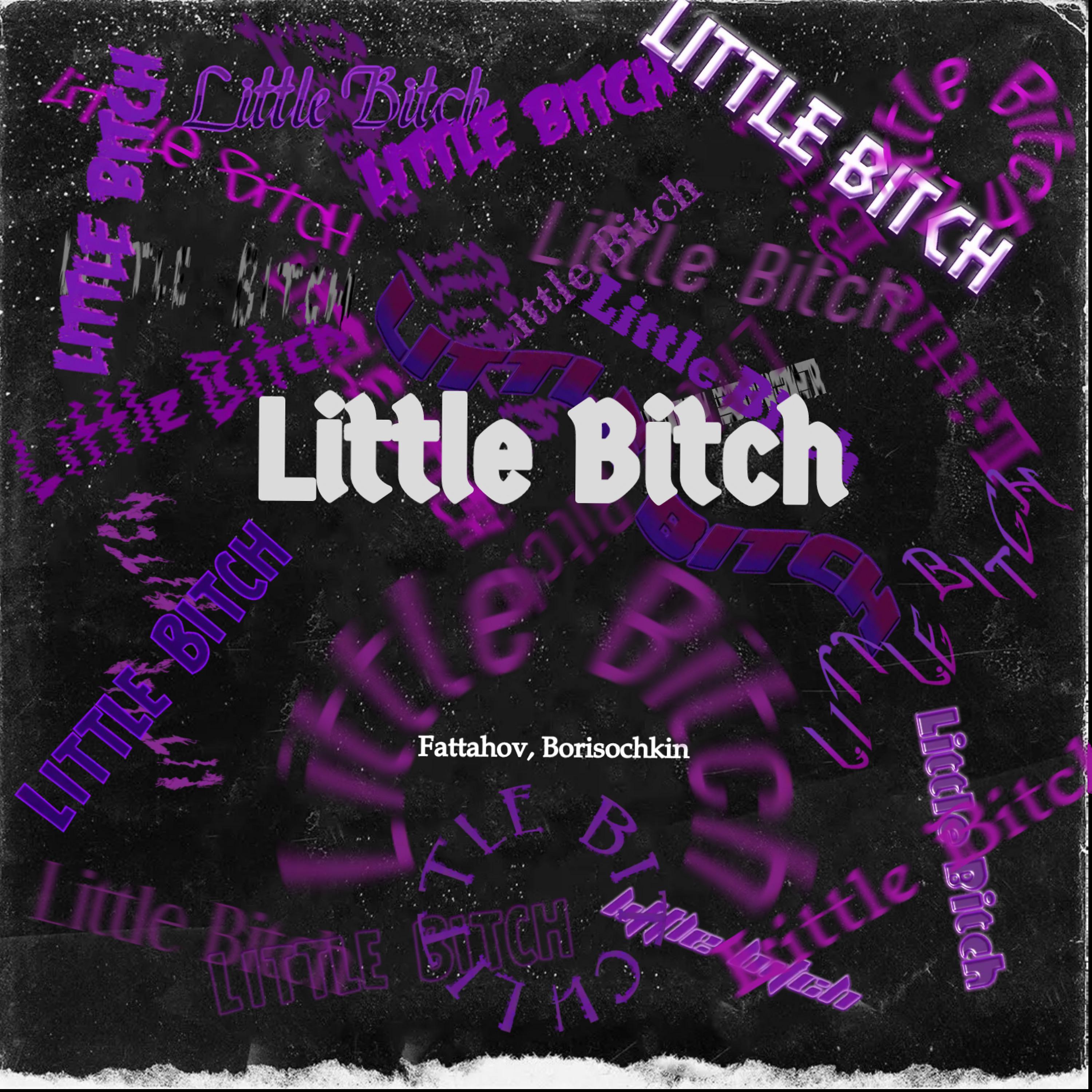 Постер альбома Little Bitch
