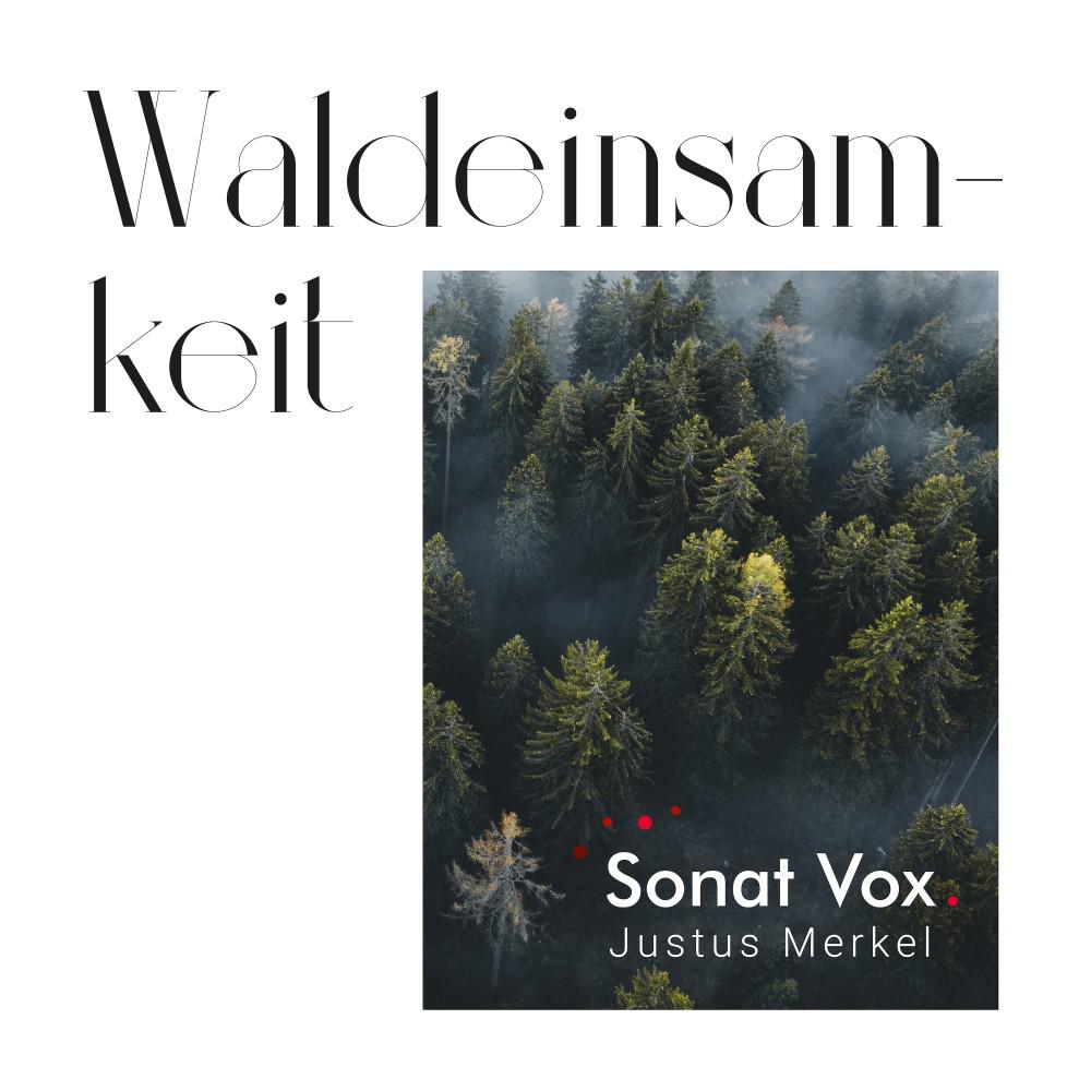 Постер альбома Waldeinsamkeit