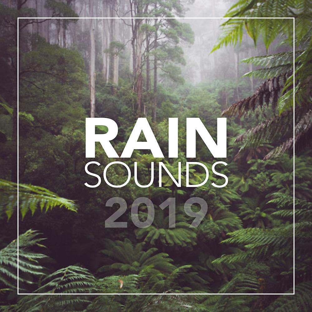 Постер альбома Rain Sounds 2019