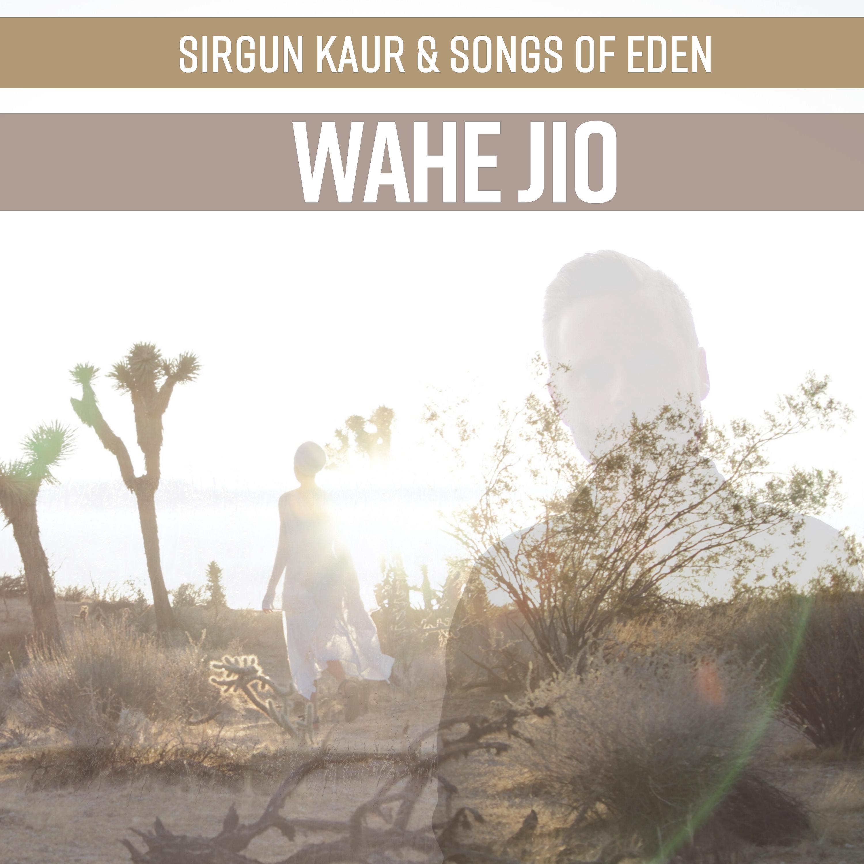 Постер альбома Wahe Jio