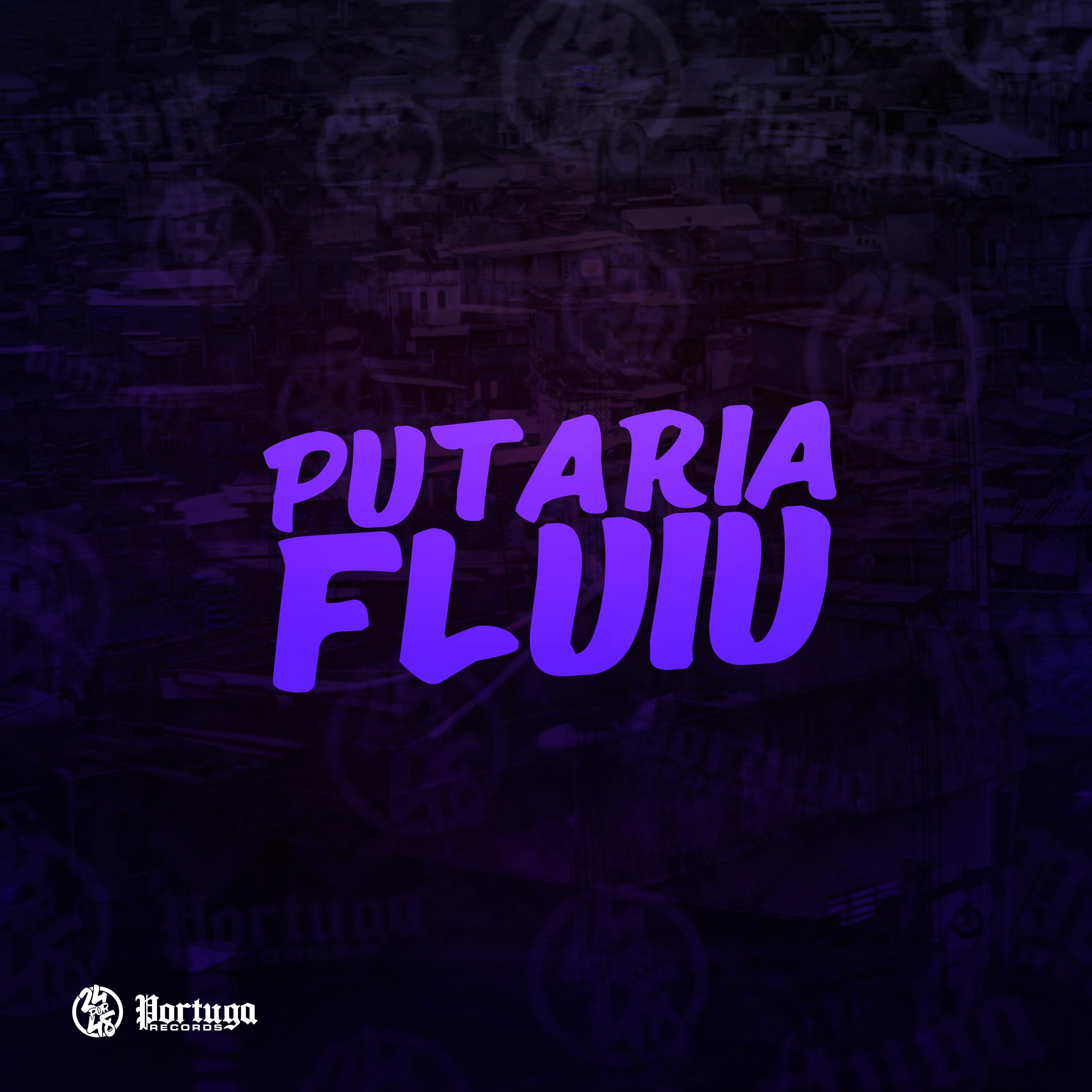 Постер альбома Putaria Fluiu