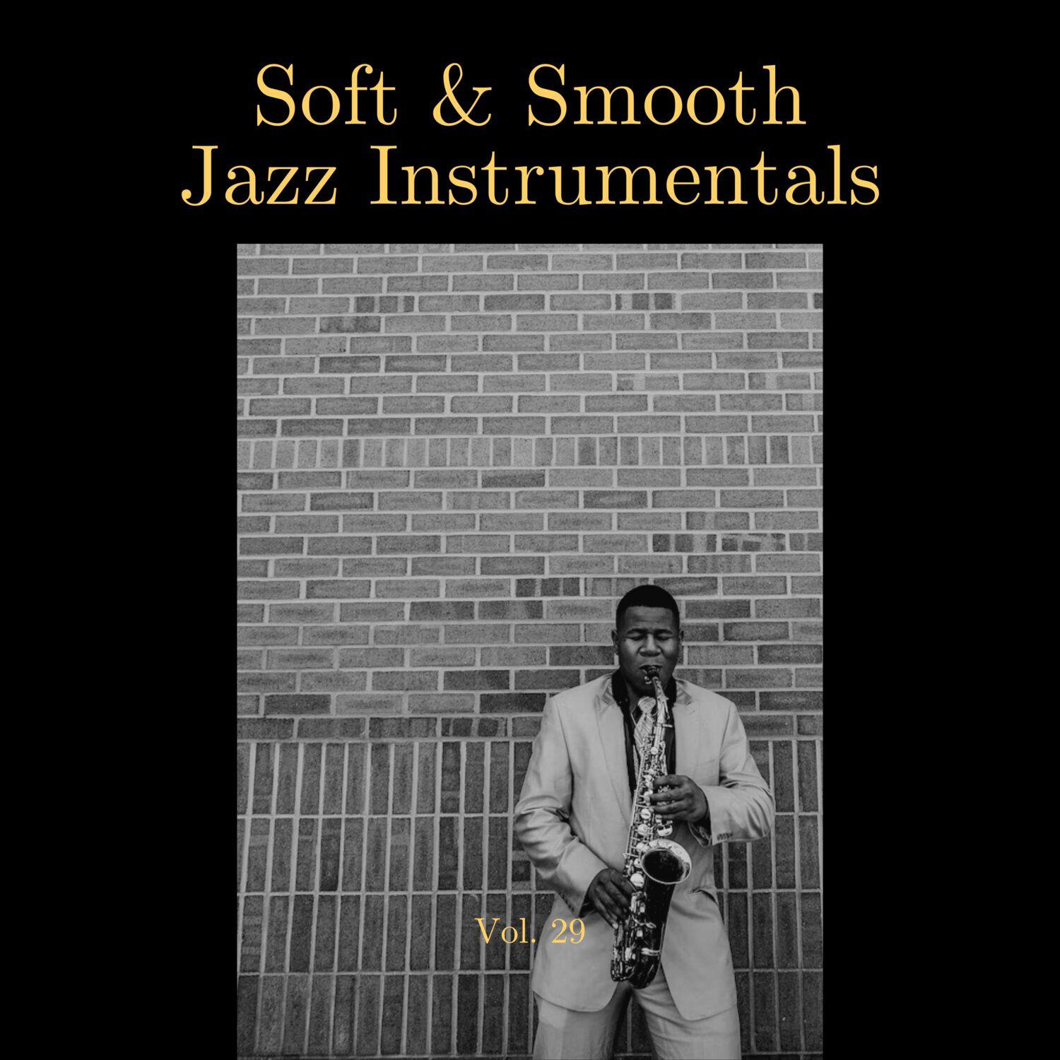 Постер альбома Soft & Smooth Jazz Instrumentals, Vol. 29