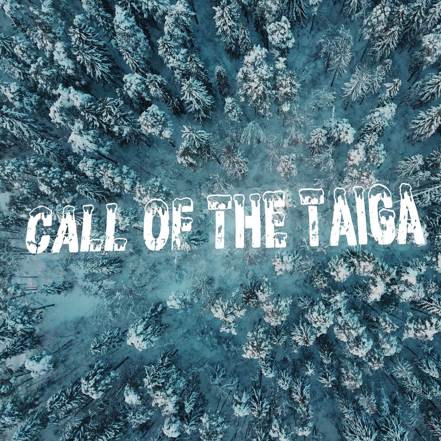 Постер альбома Call of the Taiga