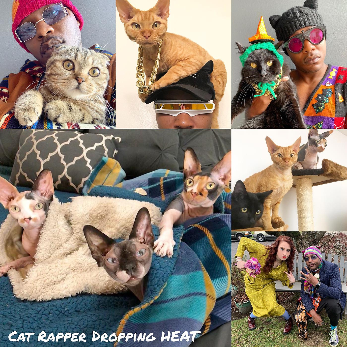Постер альбома Cat Rapper Dropping Heat