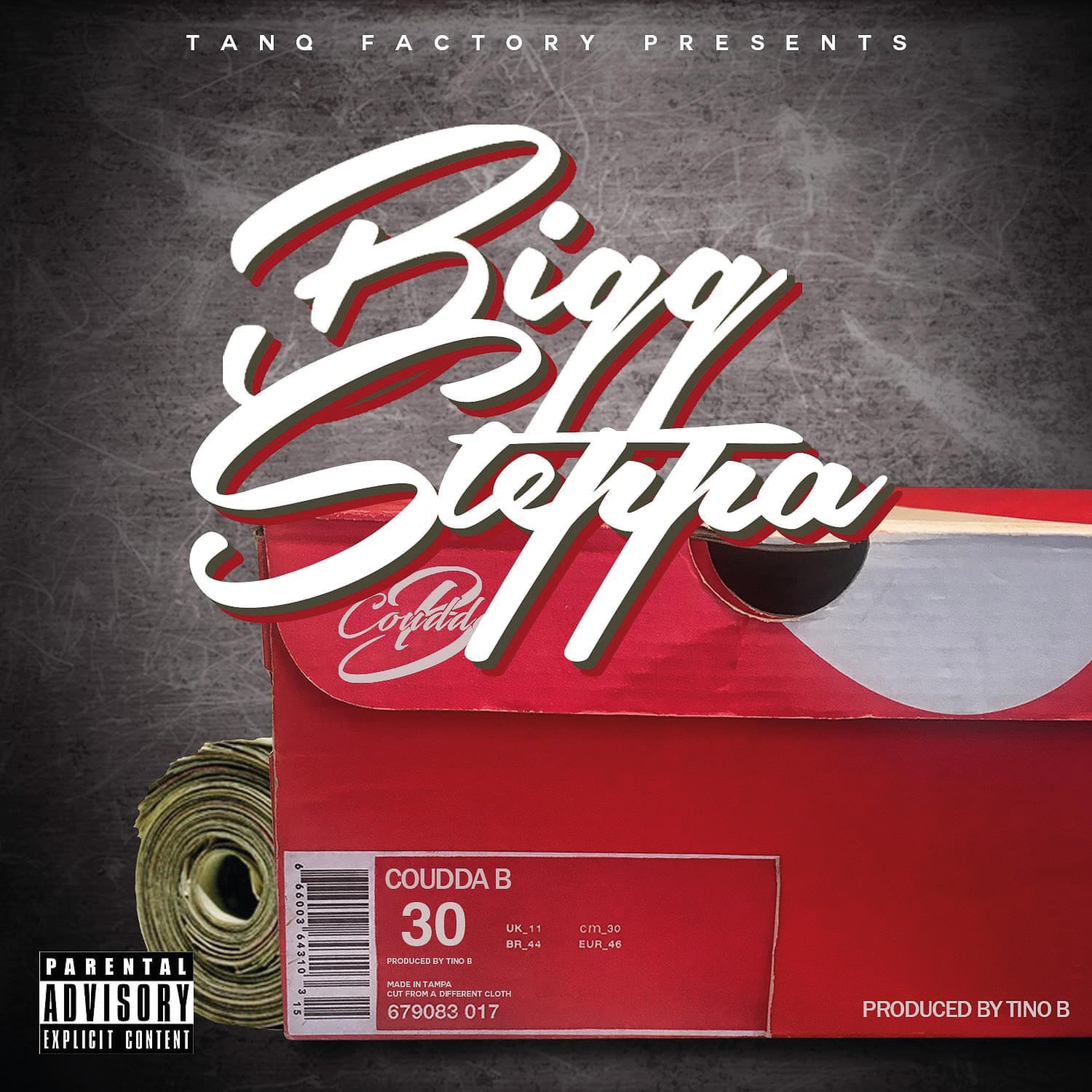 Постер альбома Bigg Steppa