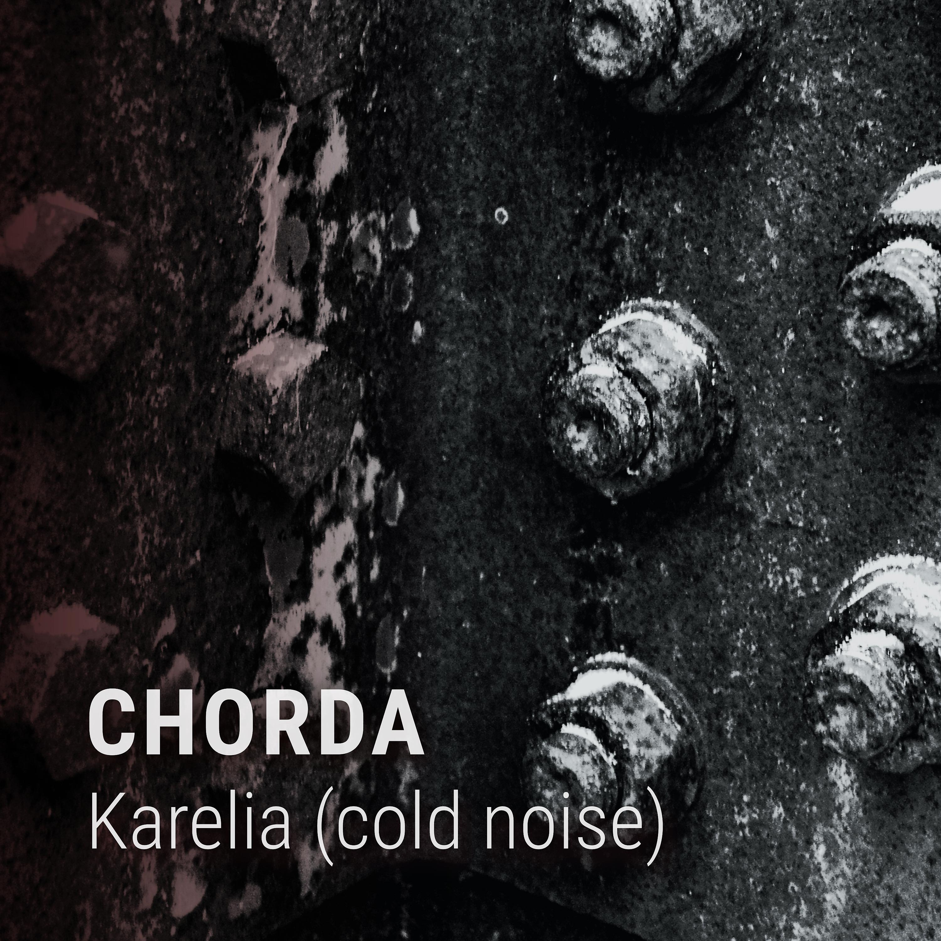 Постер альбома Karelia (Cold Noise)