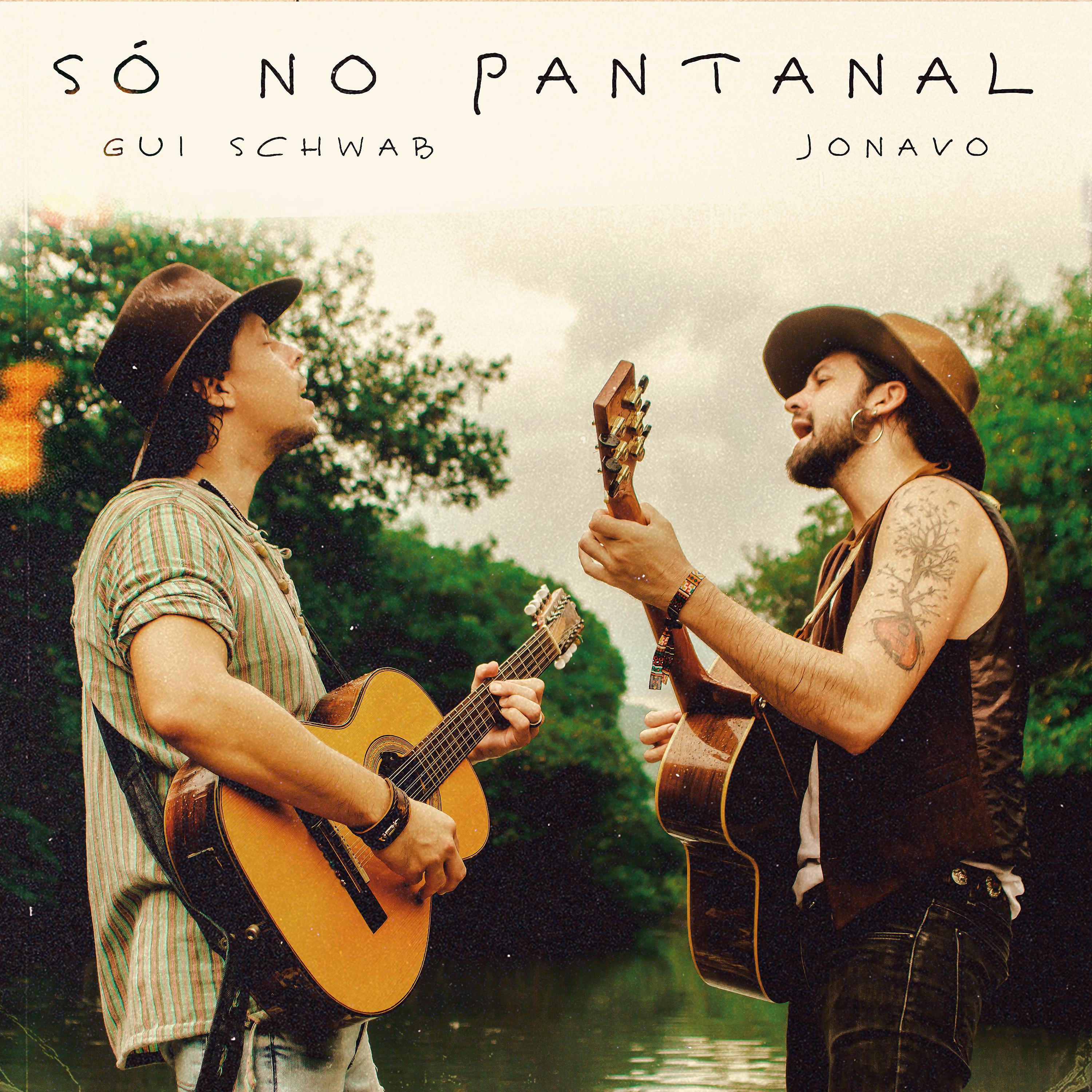 Постер альбома Só No Pantanal