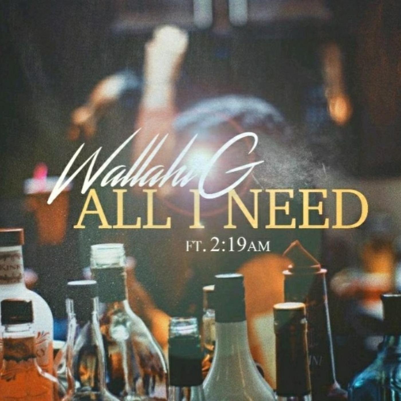 Постер альбома All I Need (feat. 2:19am)