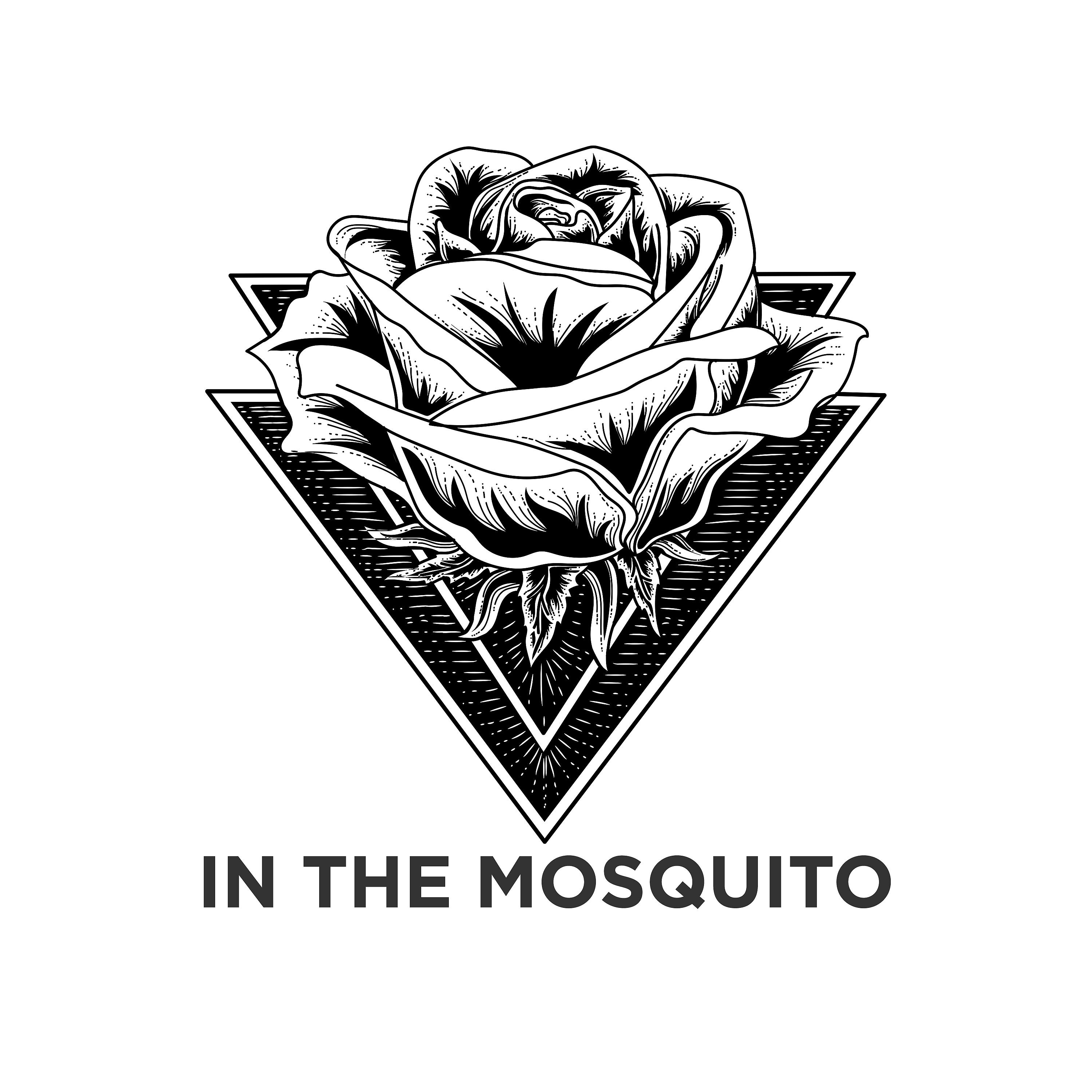 Постер альбома In the Mosquito