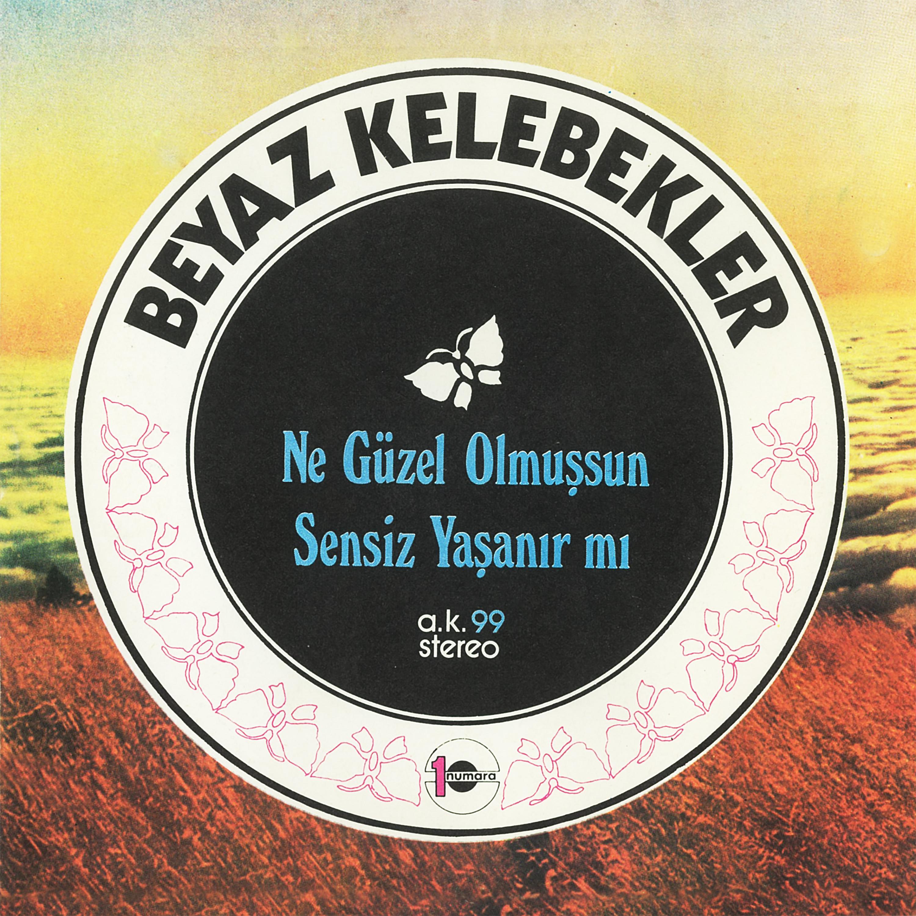 Постер альбома Ne Güzel Olmuşsun / Sensiz Yaşanır mı