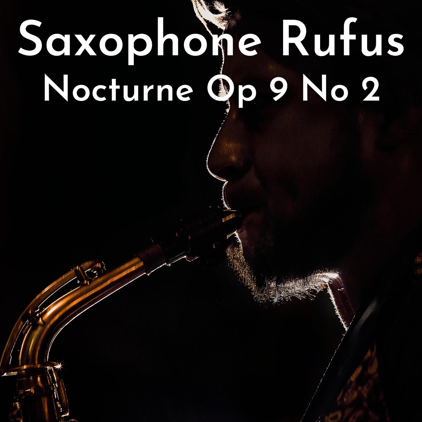 Постер альбома Nocturne Op 9 No 2