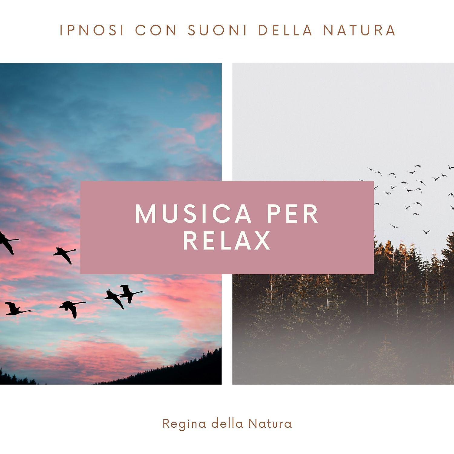 Постер альбома Musica per relax | Ipnosi con suoni della natura