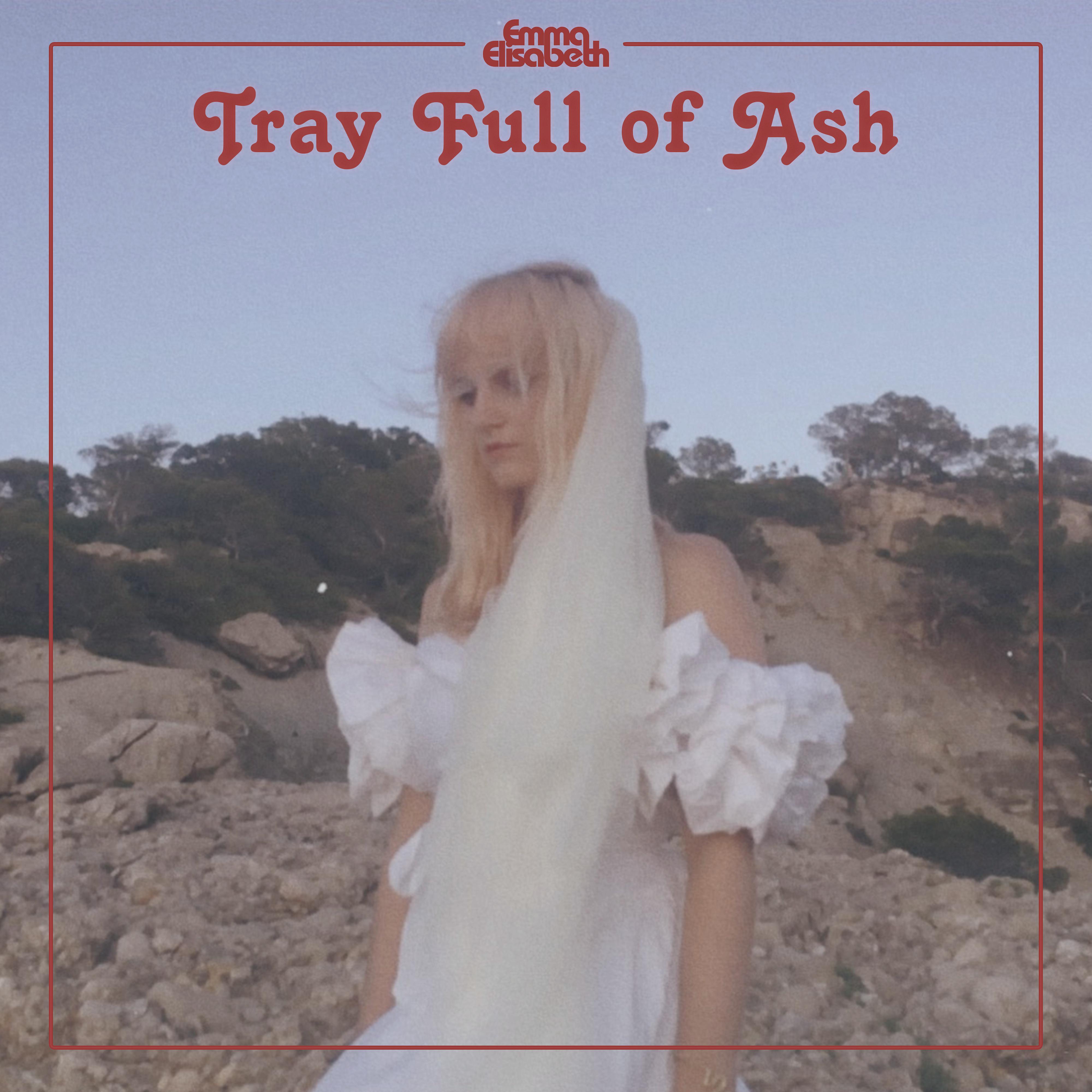 Постер альбома Tray Full Of Ash